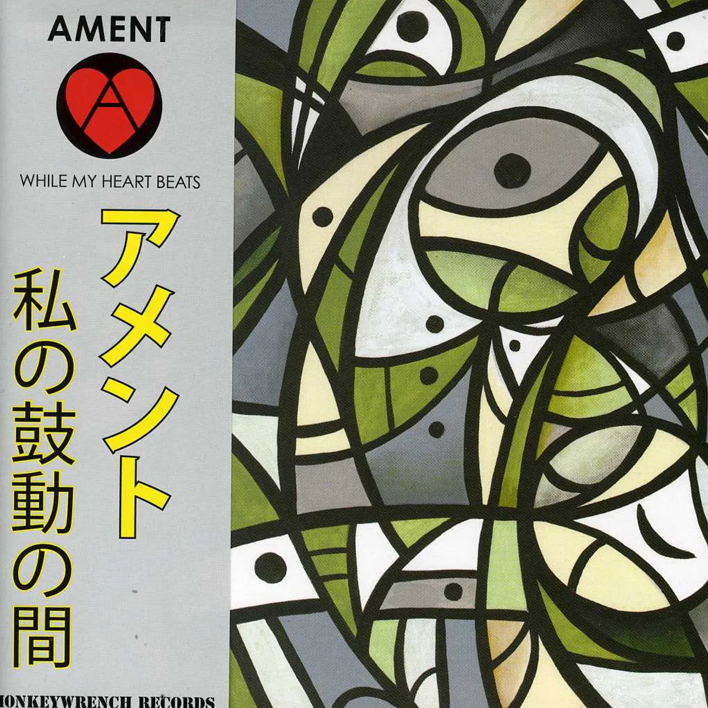 Jeff Ament WHILE MY HEART BEATS CD