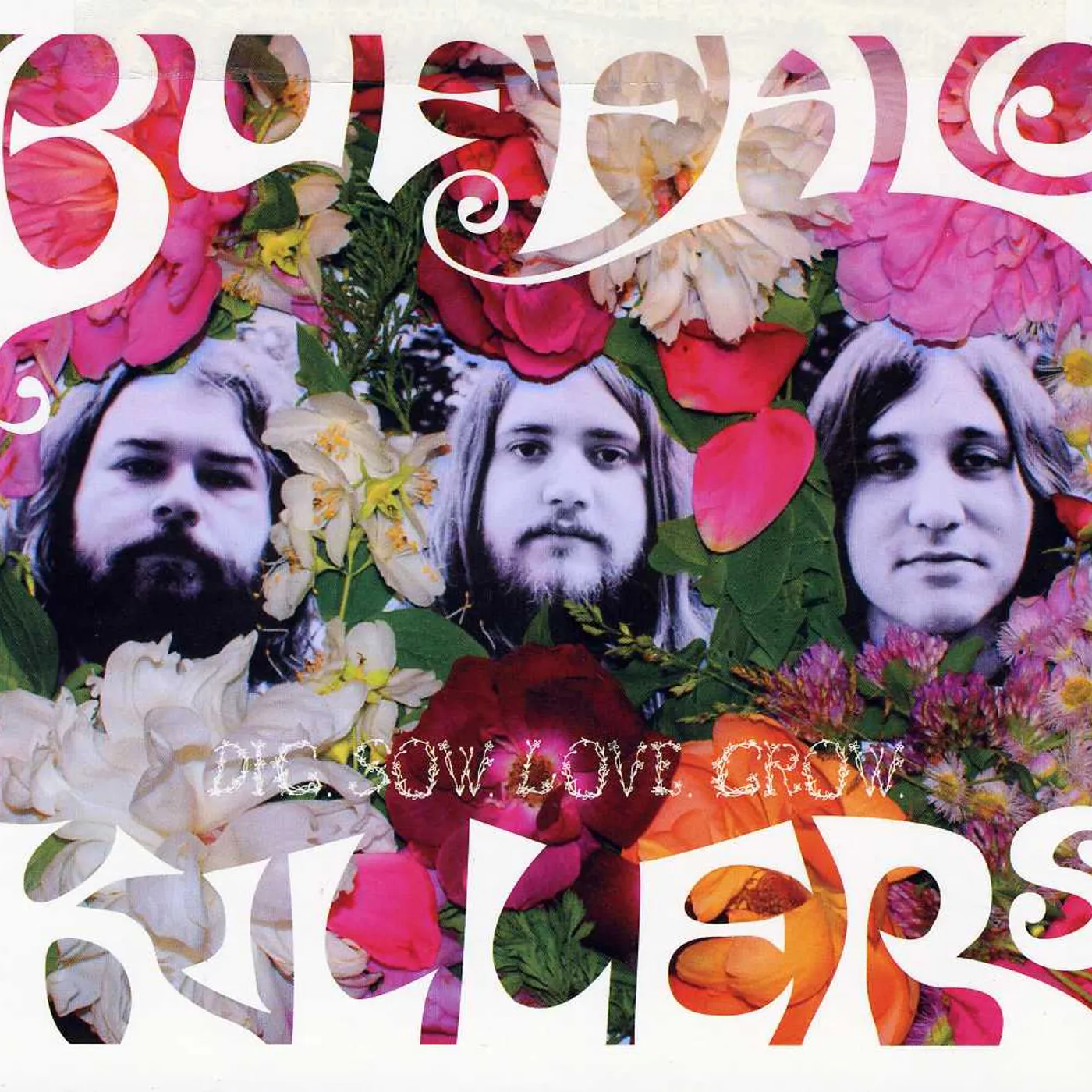 Buffalo Killers DIG SOW LOVE GROW CD