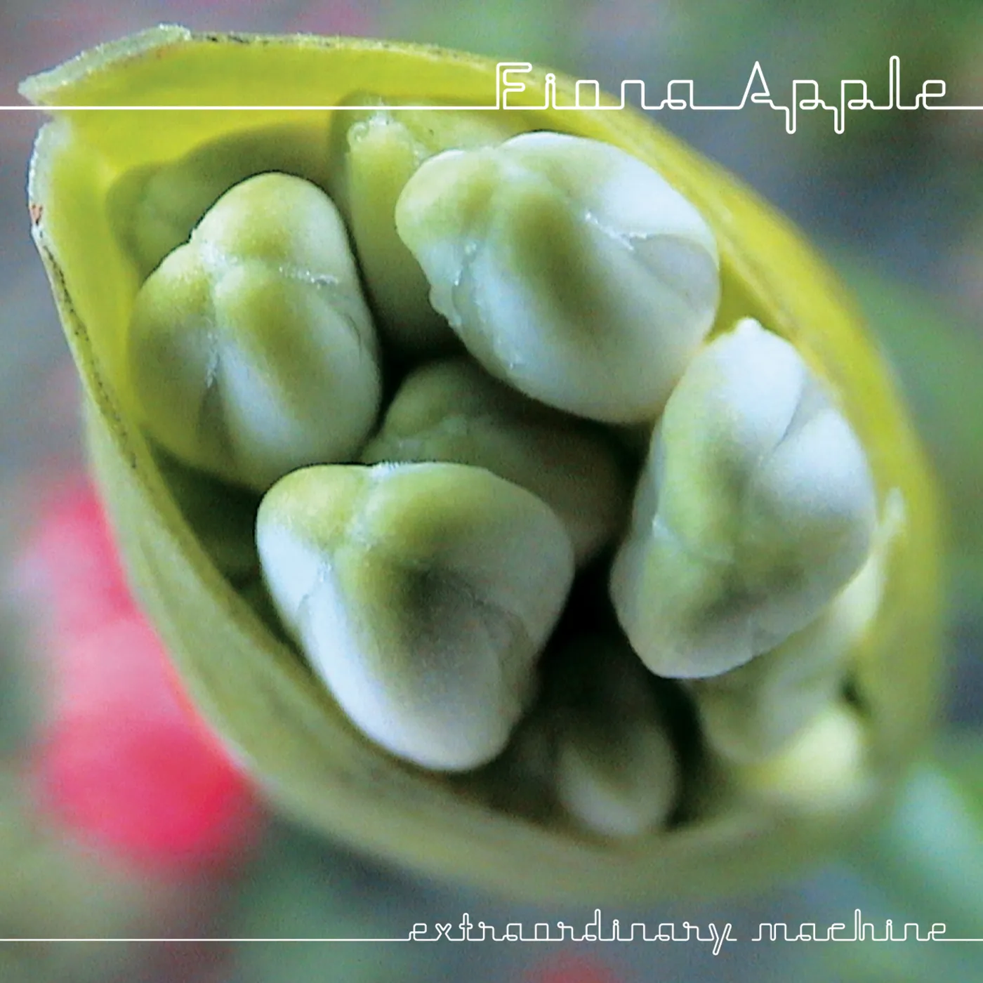 Fiona Apple EXTRAORDINARY MACHINE CD