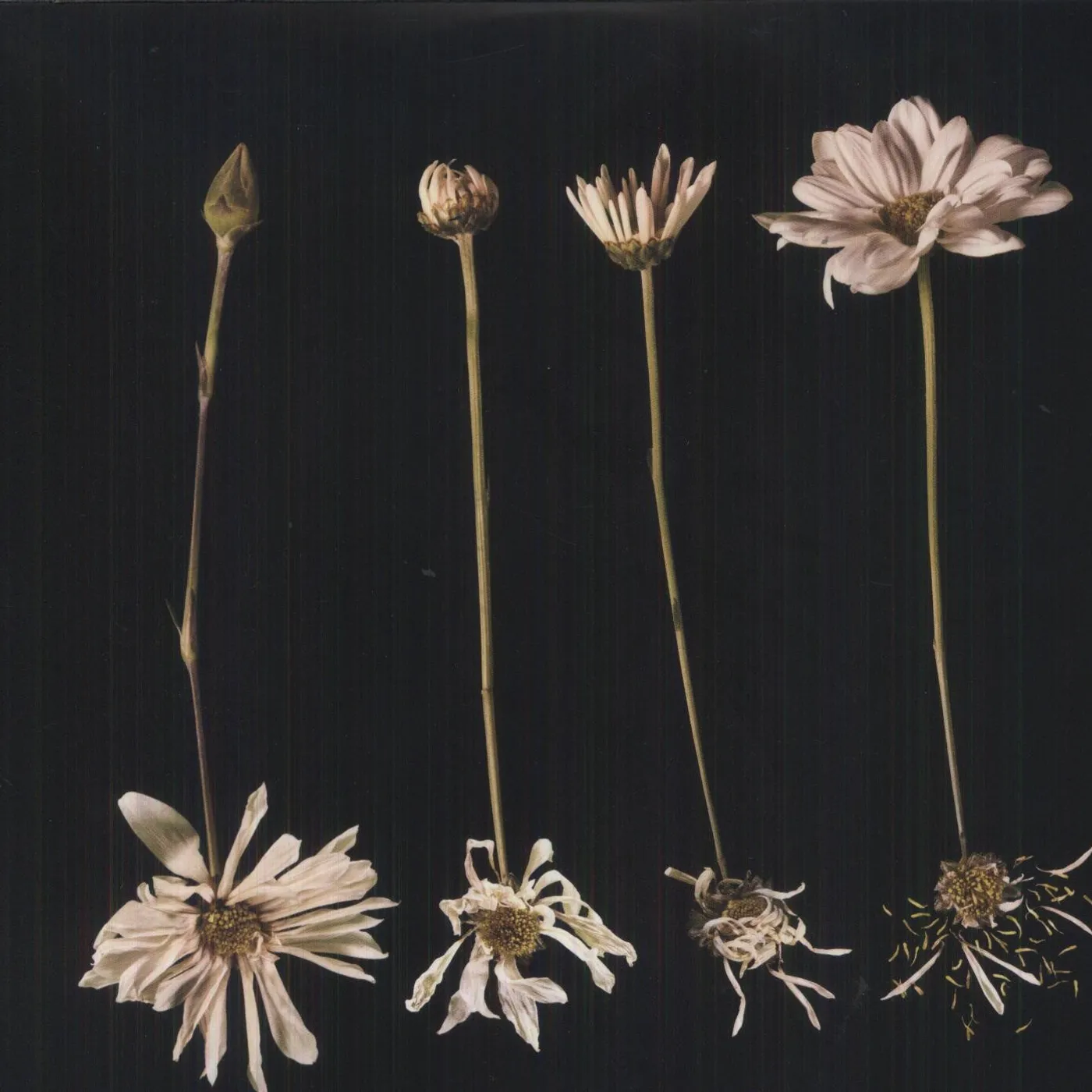 Blu & Exile MAYBE ONE DAY (EP) Vinyl Record