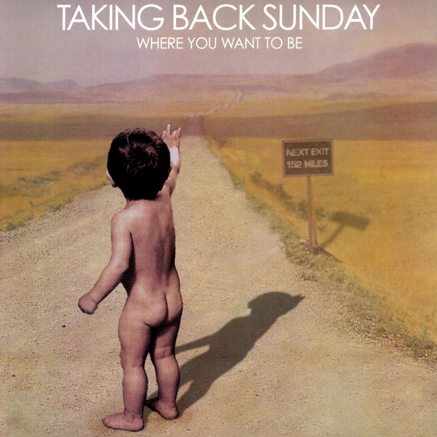 Taking Back Sunday Where You Want To Be Vinyl Record