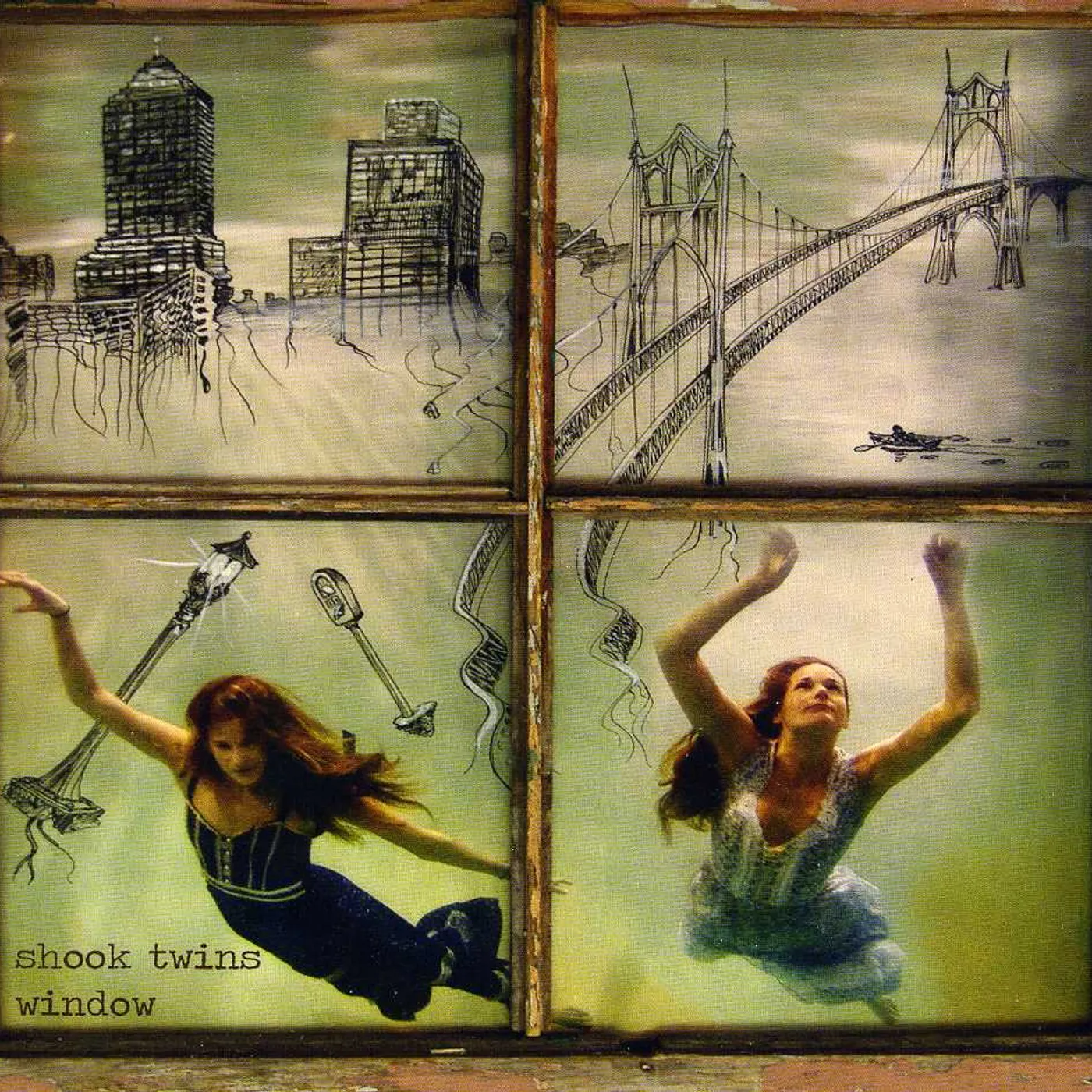 Shook Twins WINDOW CD