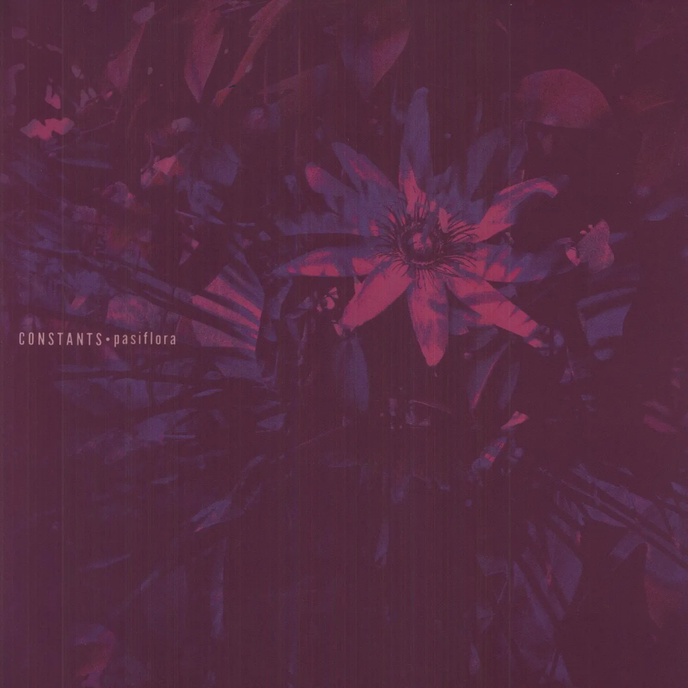 Constants Pasiflora Vinyl Record