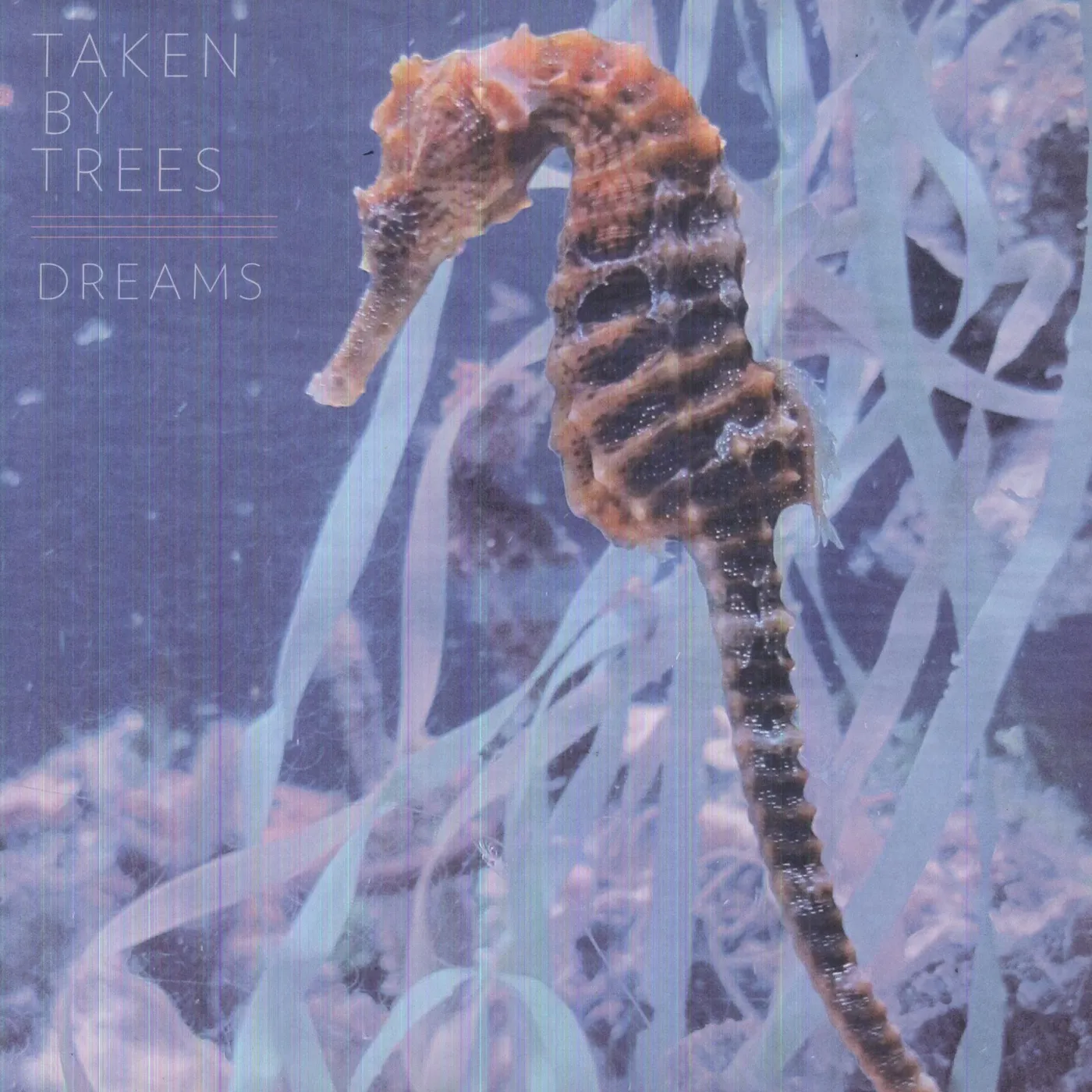 Taken By Trees Dreams Vinyl Record