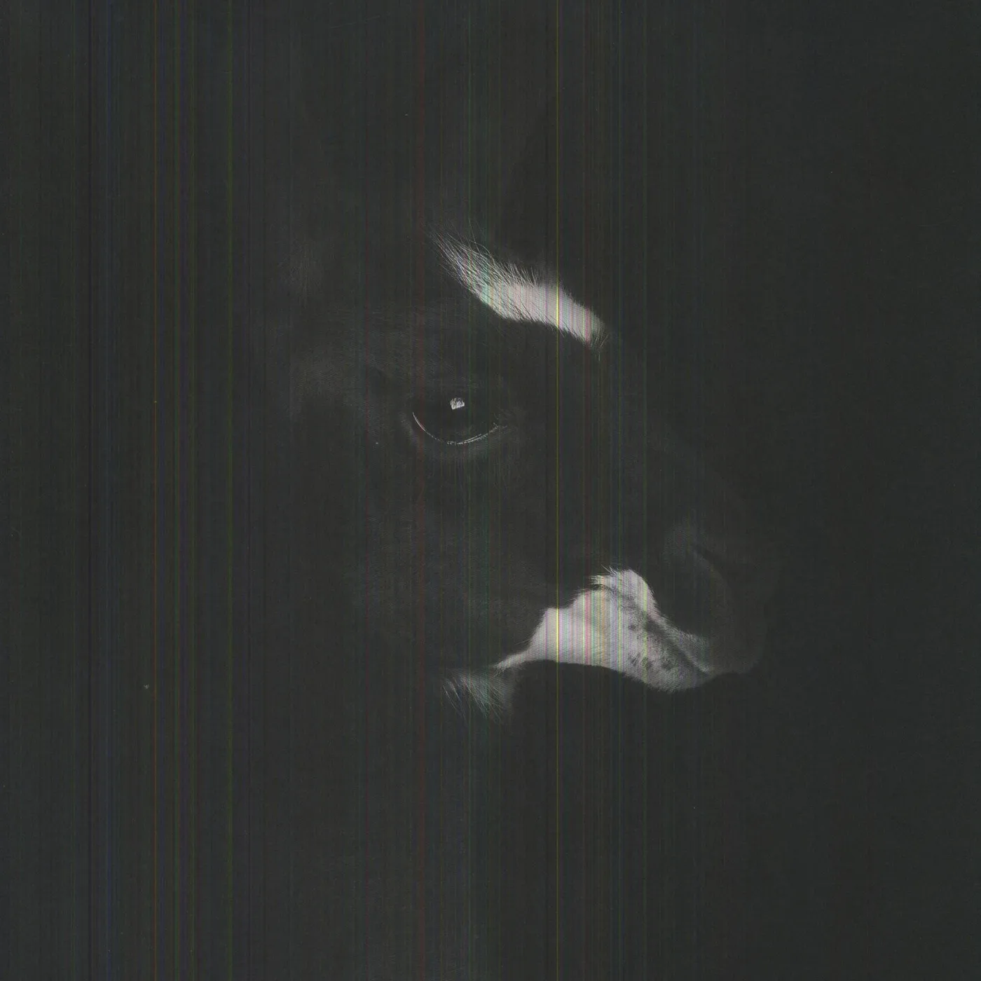 René Bourgeois Graal Vinyl Record