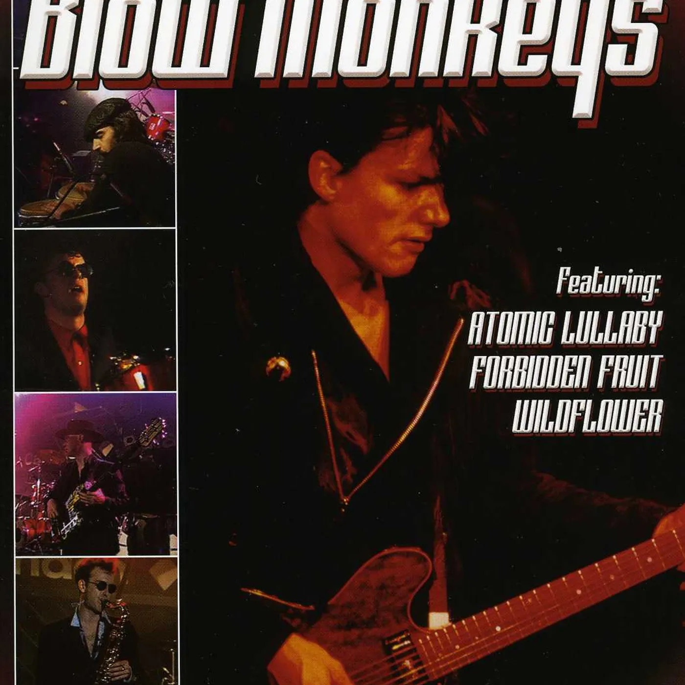 The Blow Monkeys LIVE FROM LONDON DVD