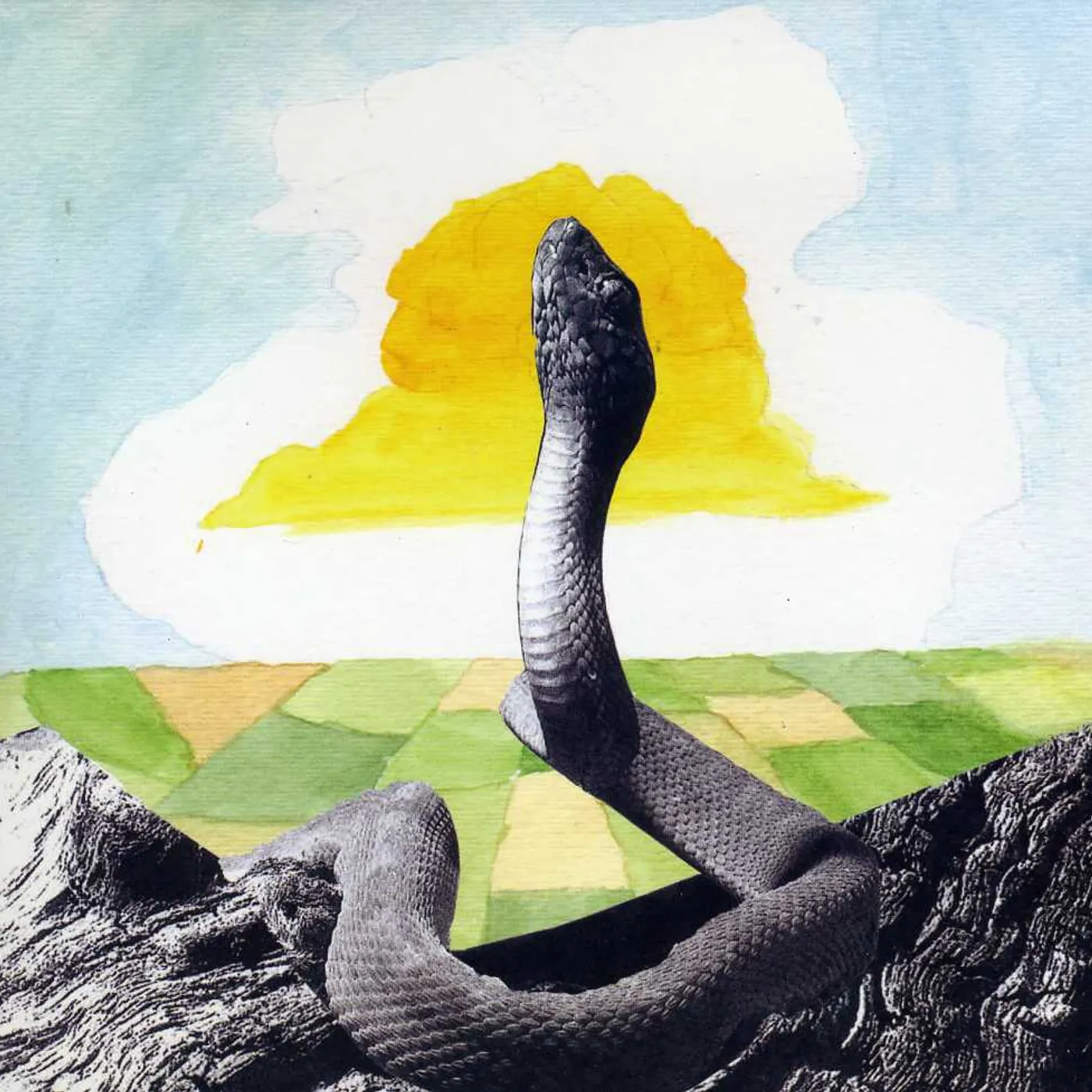 Woods BEND BEYOND CD