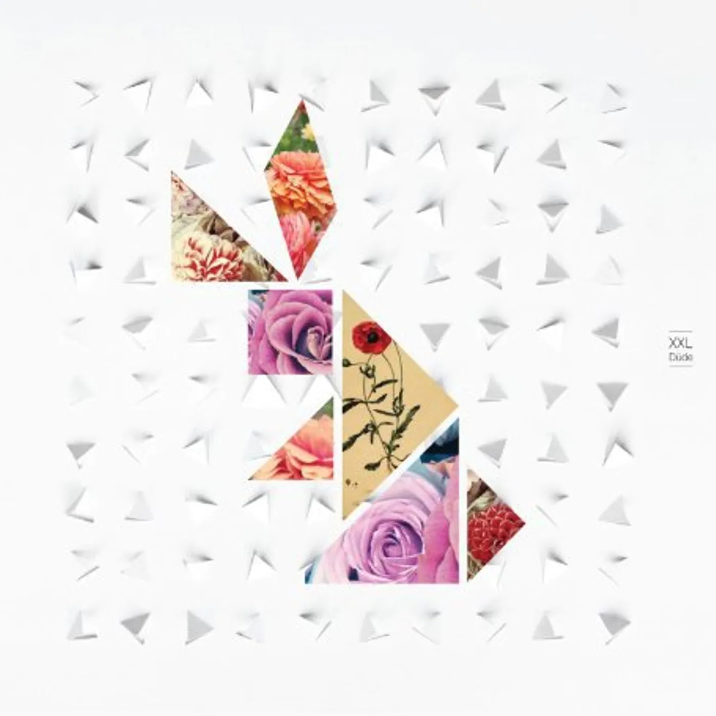 XXL DUDE Vinyl Record