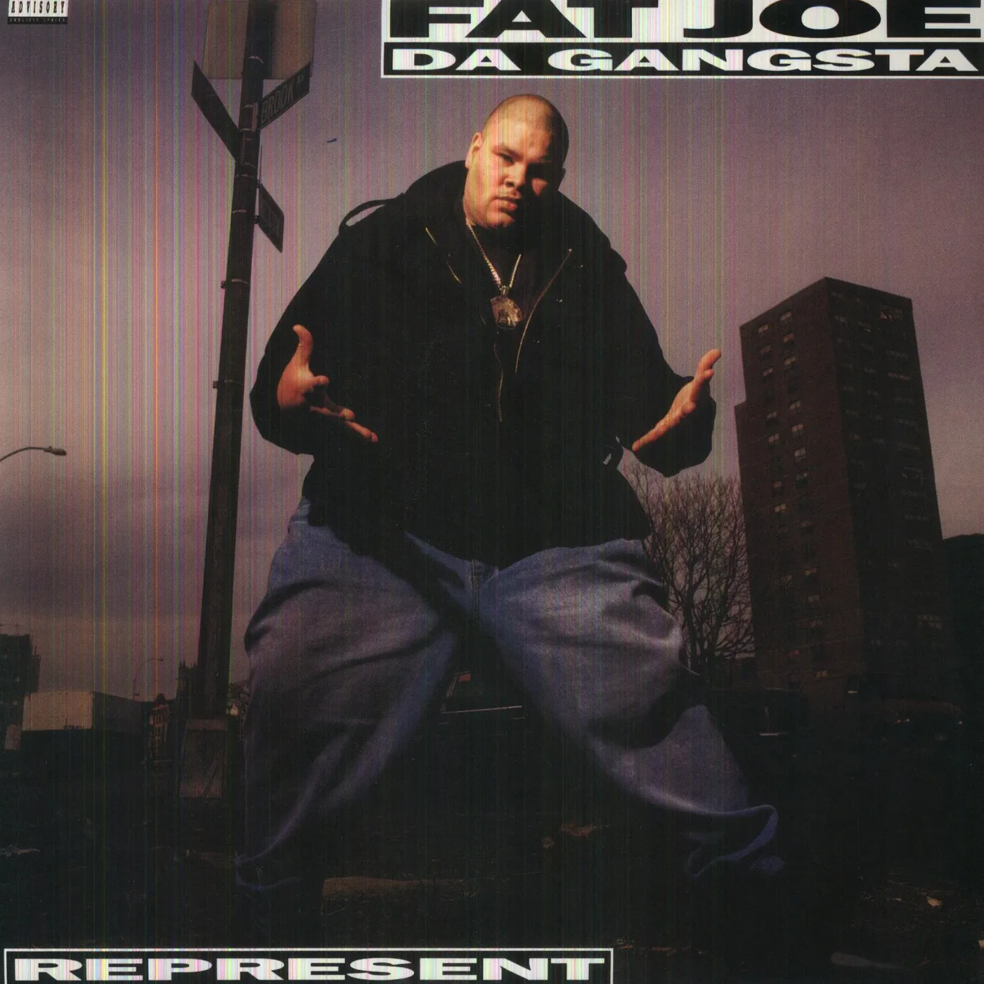 Fat Joe Represent Vinyl Record