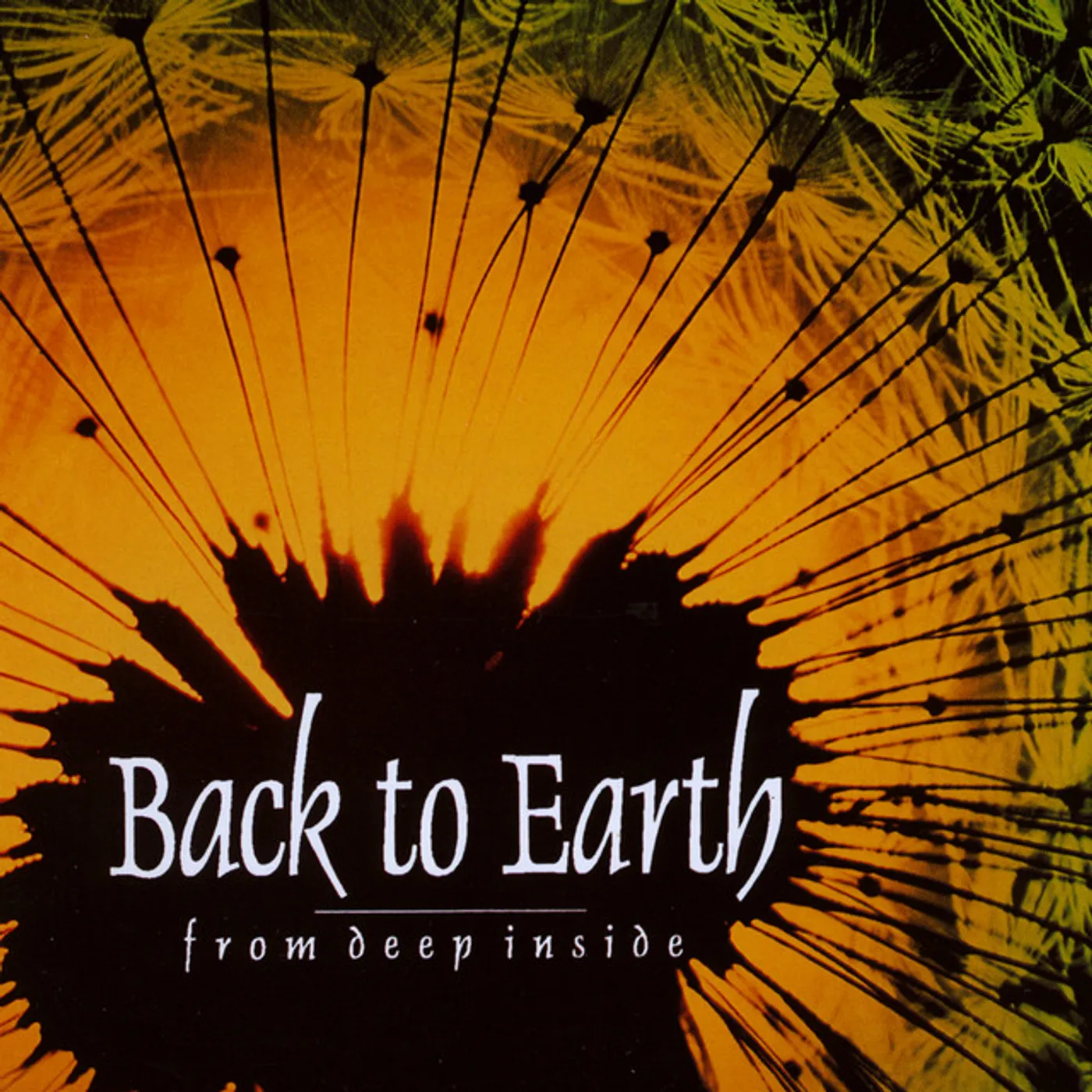 Back to Earth FROM DEEP INSIDE CD