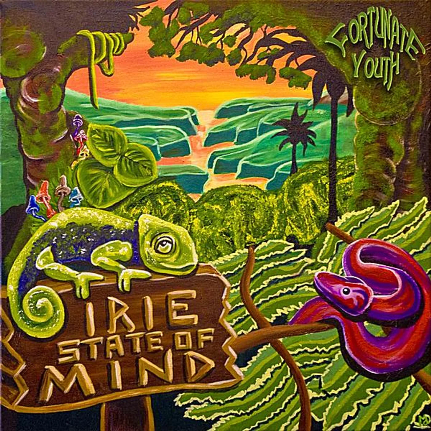 Fortunate Youth IRIE STATE OF MIND CD