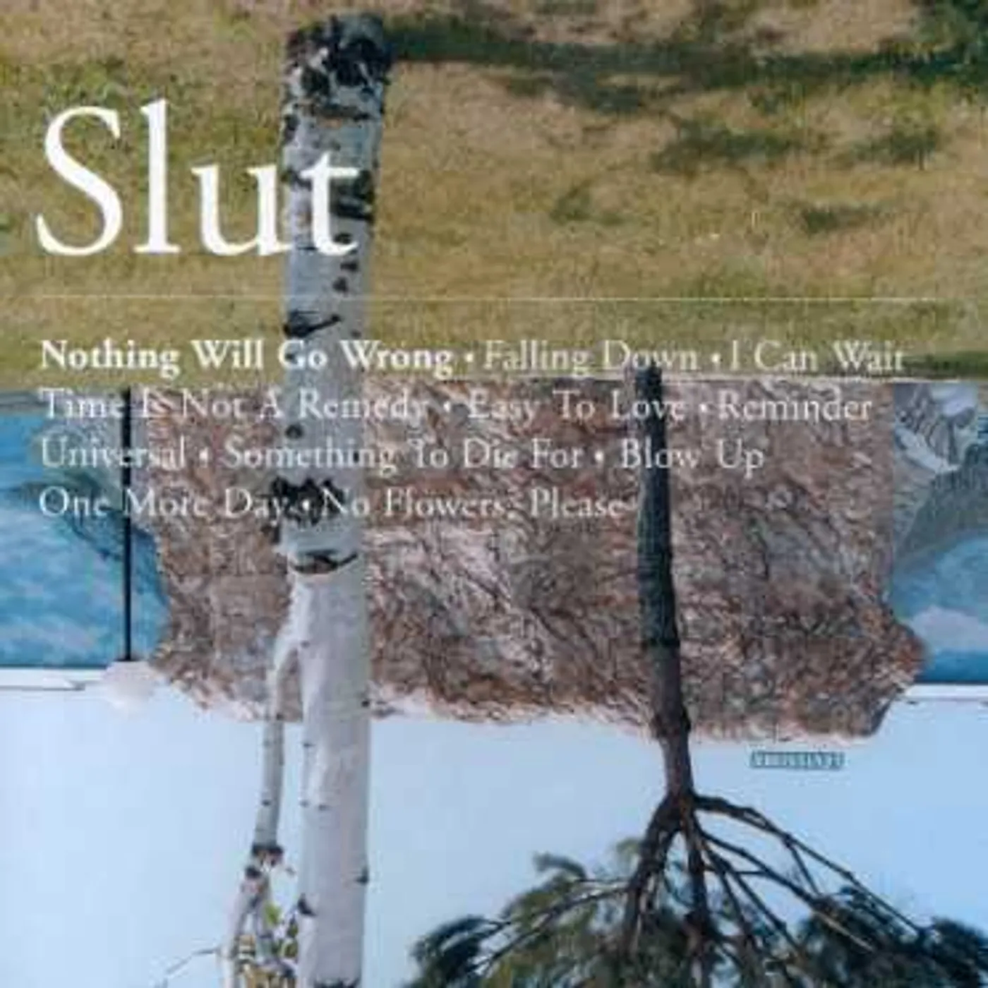 Slut NOTHING WILL GO WRONG CD