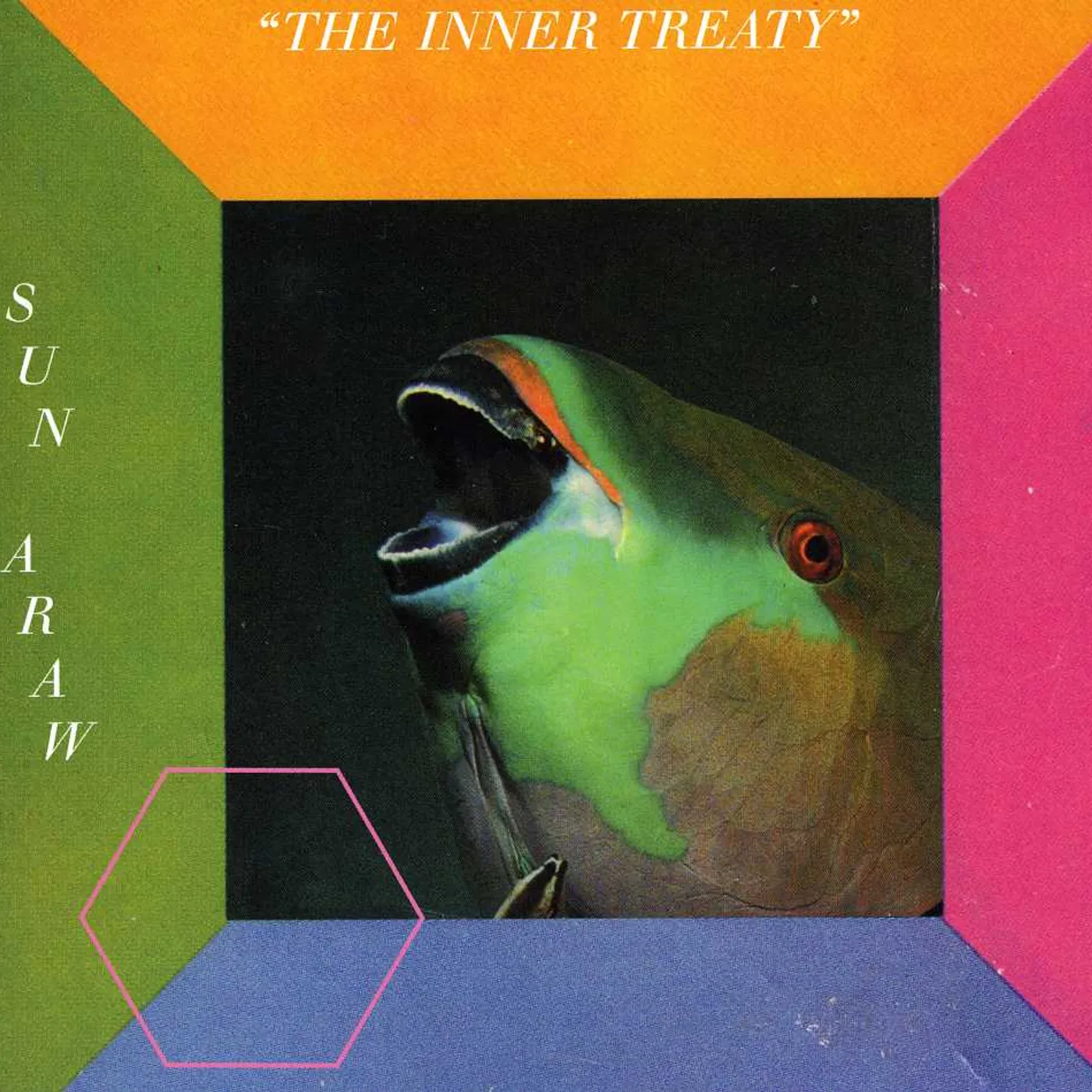 Sun Araw INNER TREATY CD