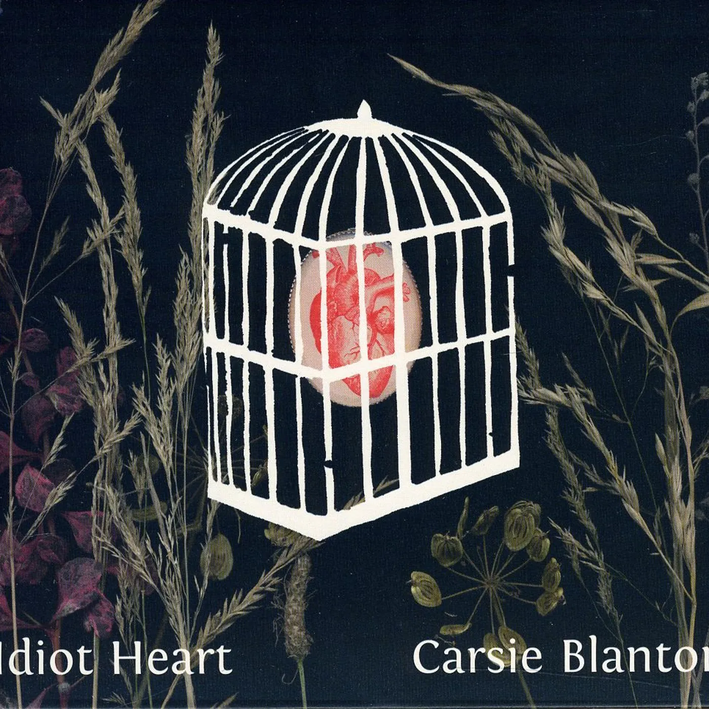 Carsie Blanton IDIOT HEART CD