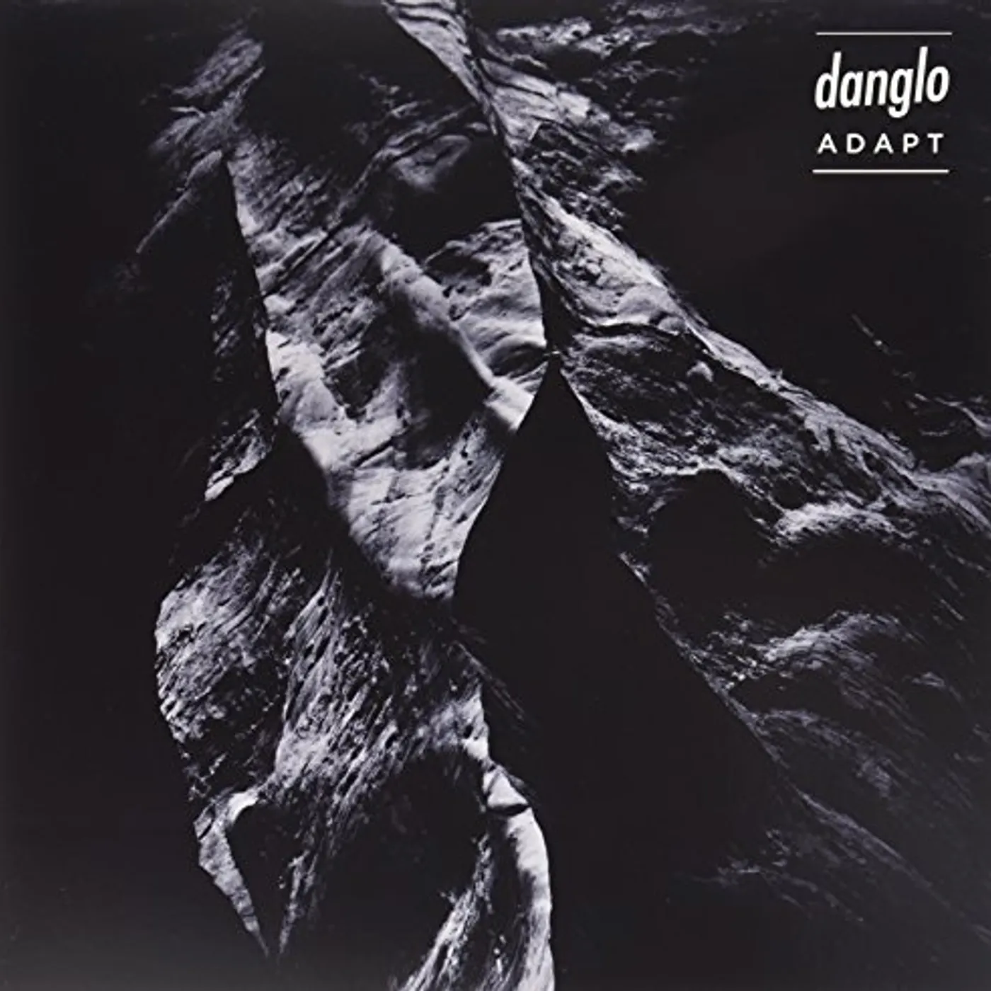 Danglo Adapt Vinyl Record