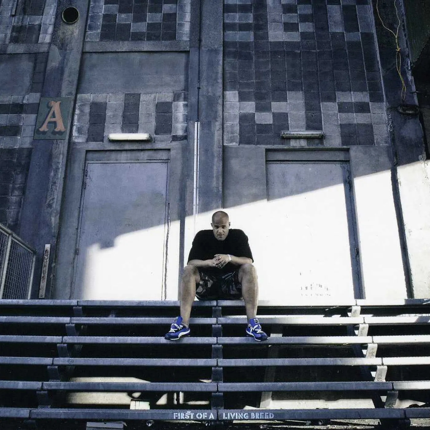 Homeboy Sandman FIRST OF A LIVING BREED CD