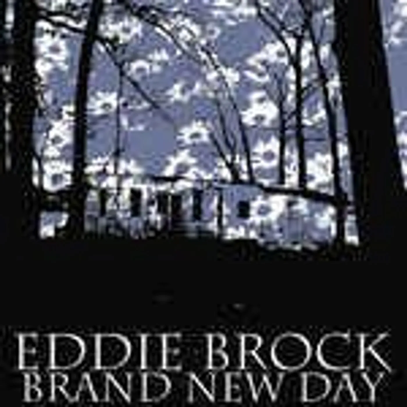 Eddie Brock Brand New Day Vinyl Record