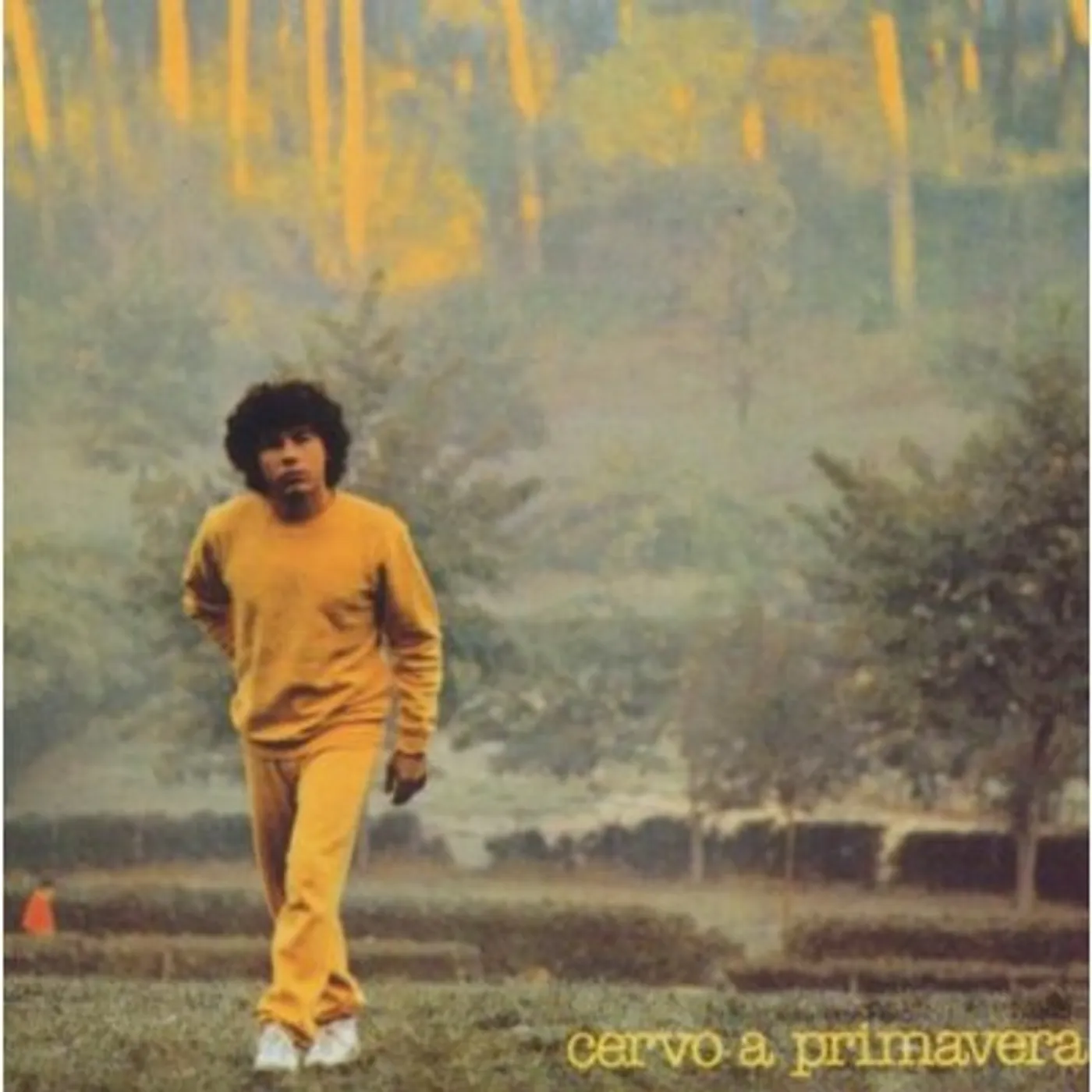 Riccardo Cocciante CERVO A PRIMAVERA CD