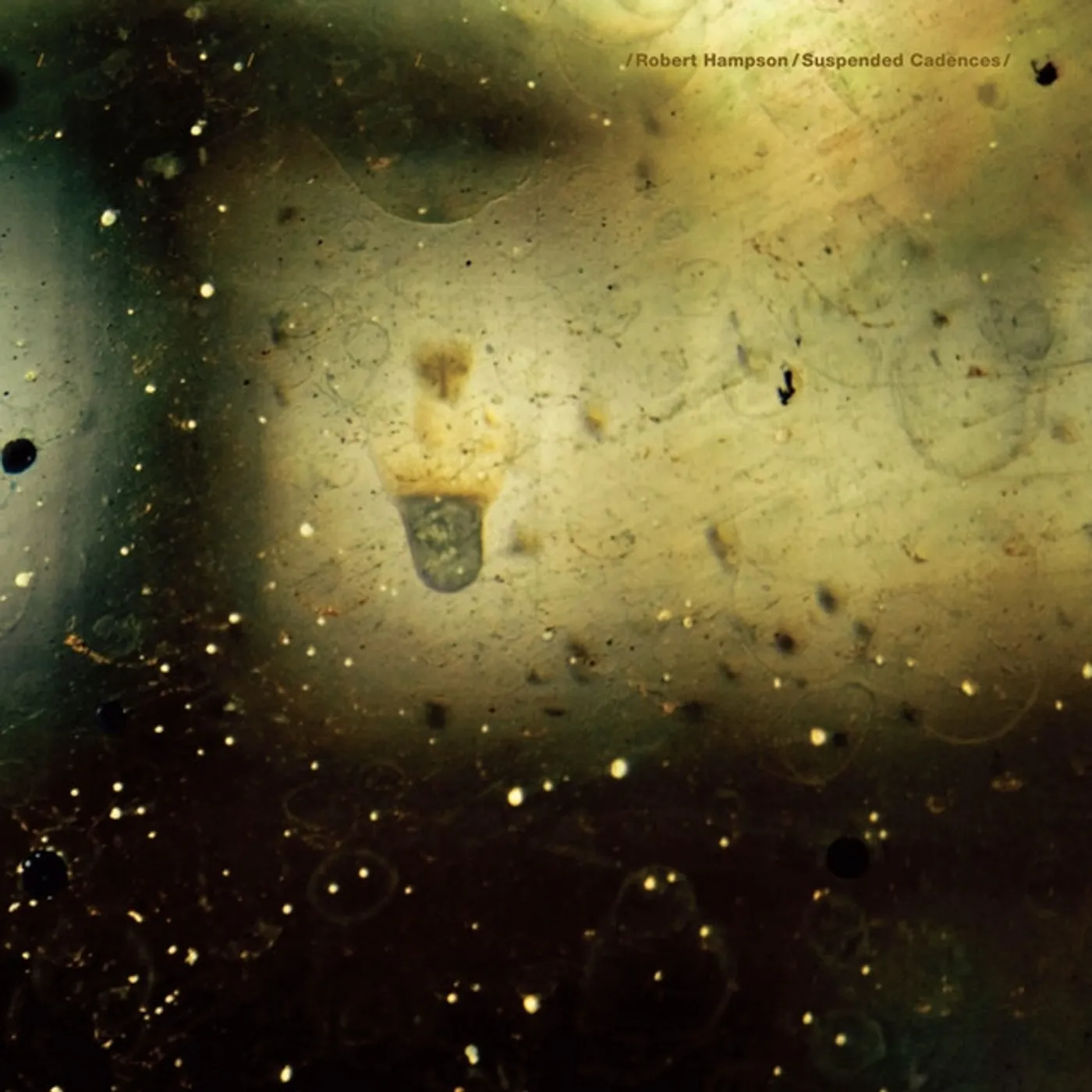 Robert Hampson Suspended Cadences Vinyl Record