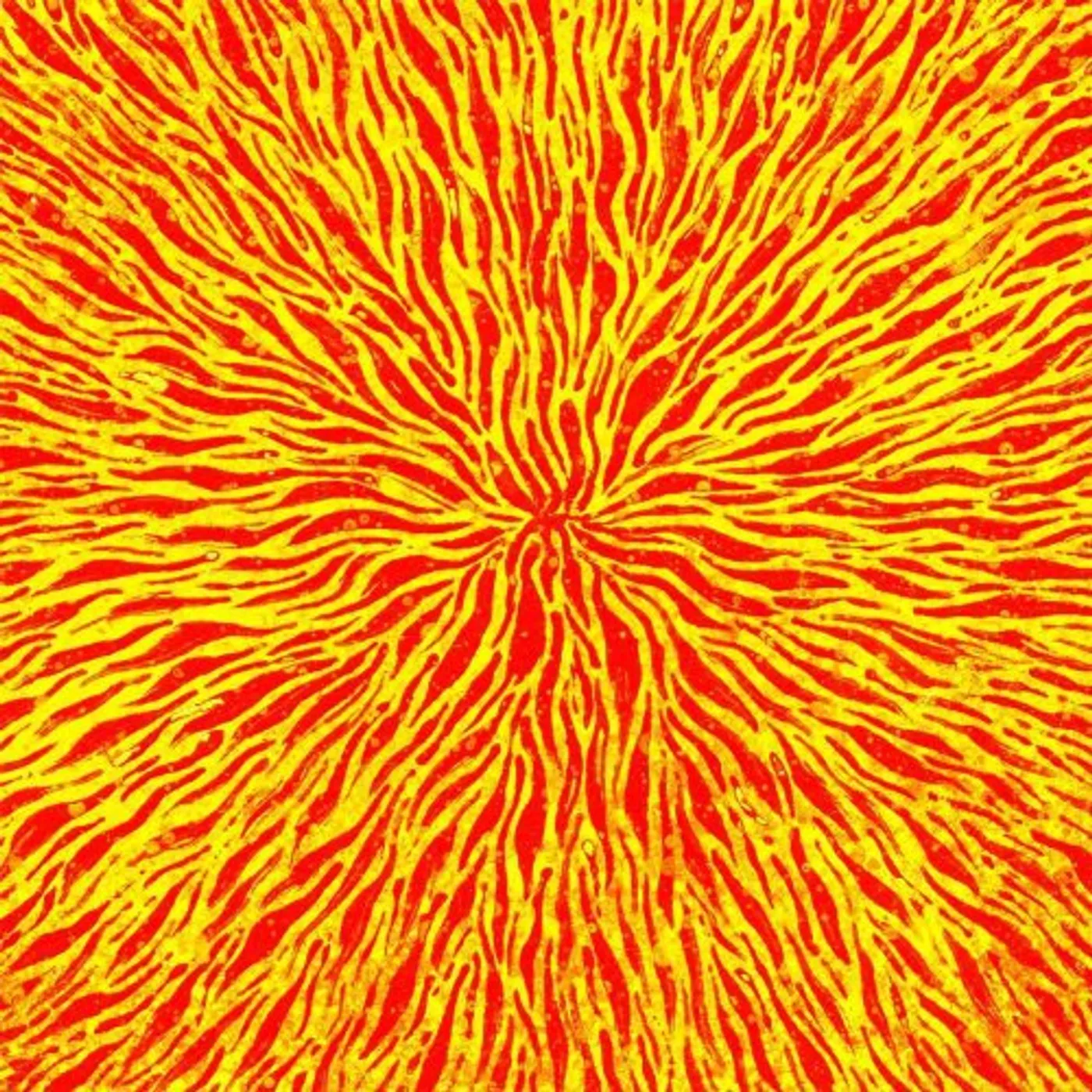 Cars & Trains We Are All Fire Vinyl Record