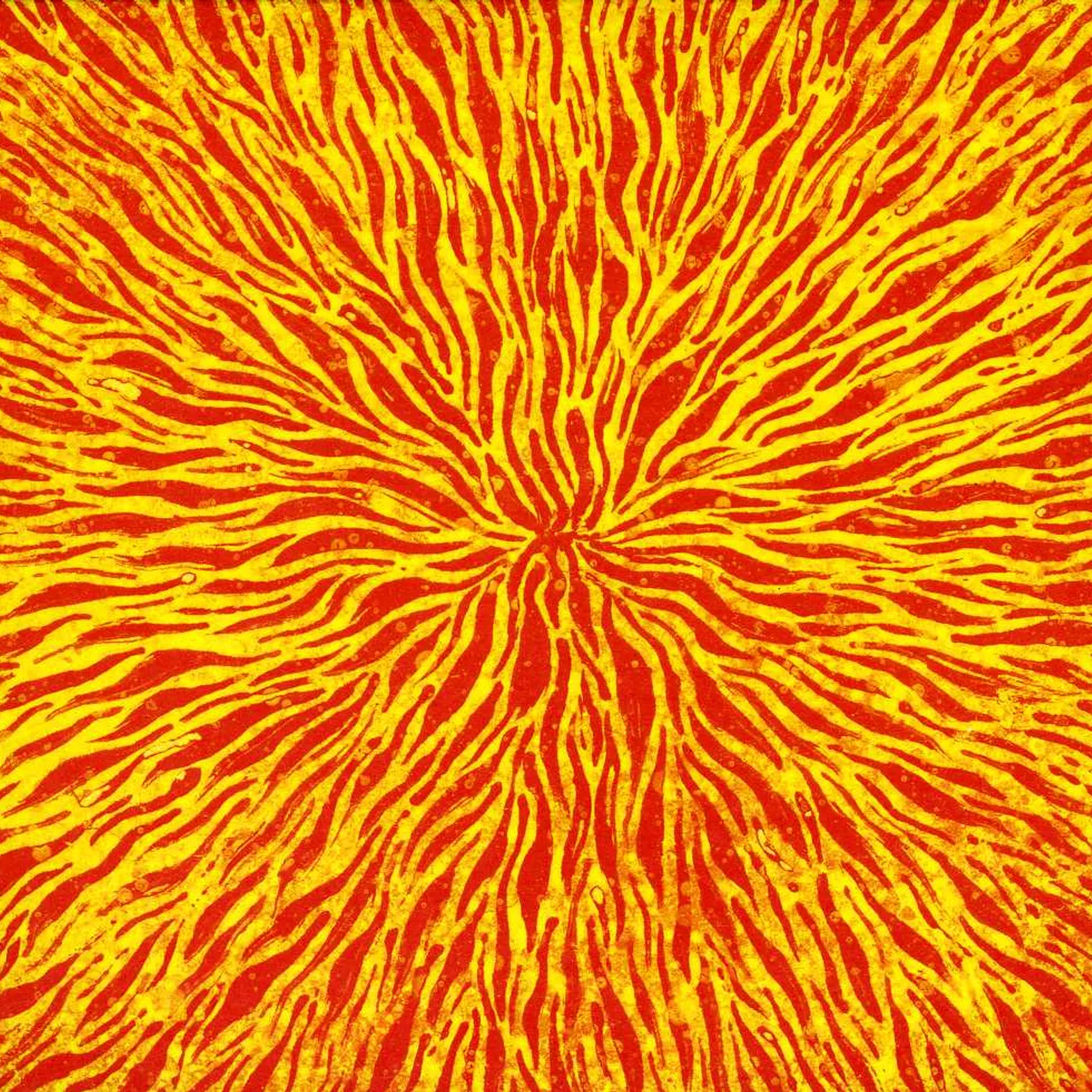 Cars & Trains WE ARE ALL FIRE CD