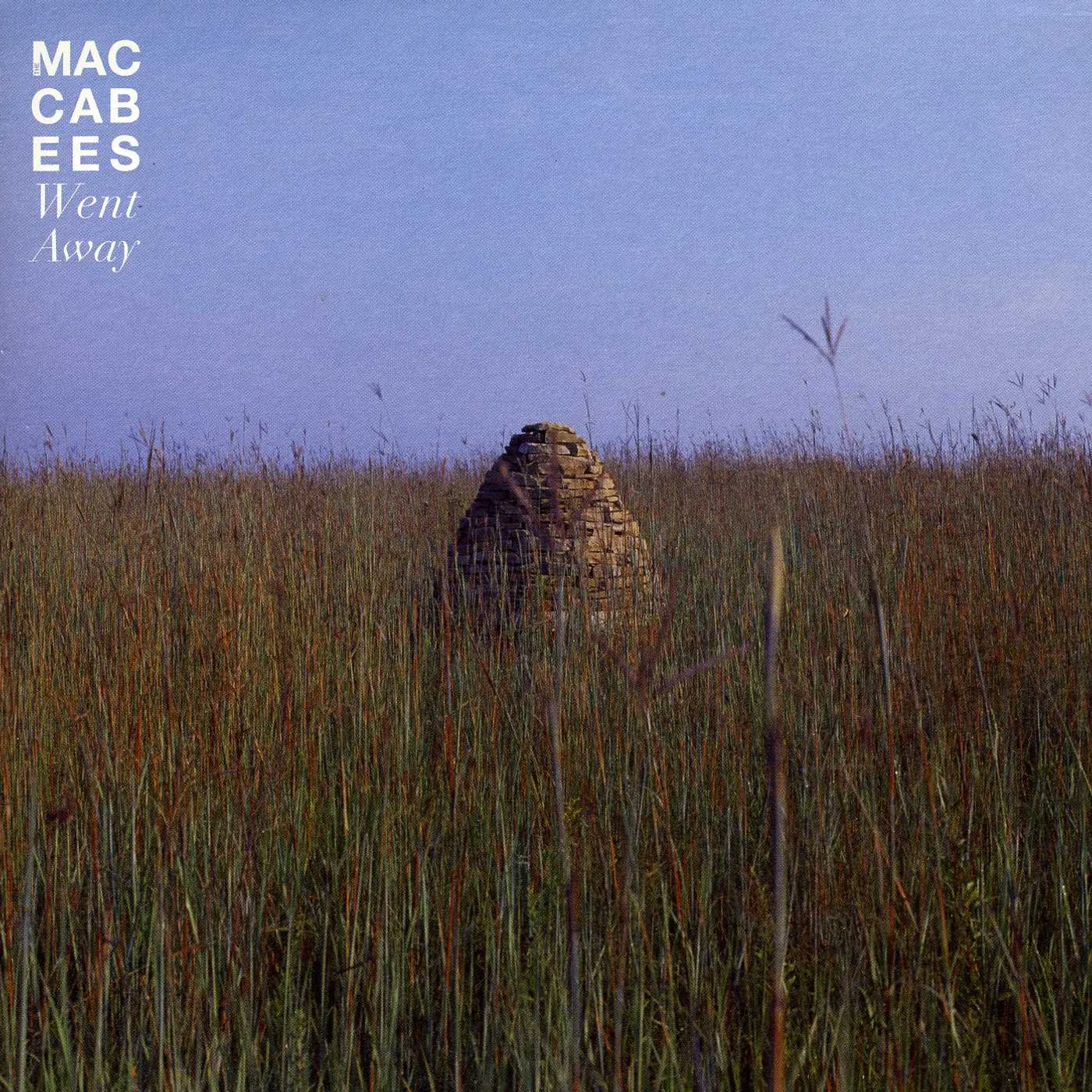 Maccabees Went Away Vinyl Record