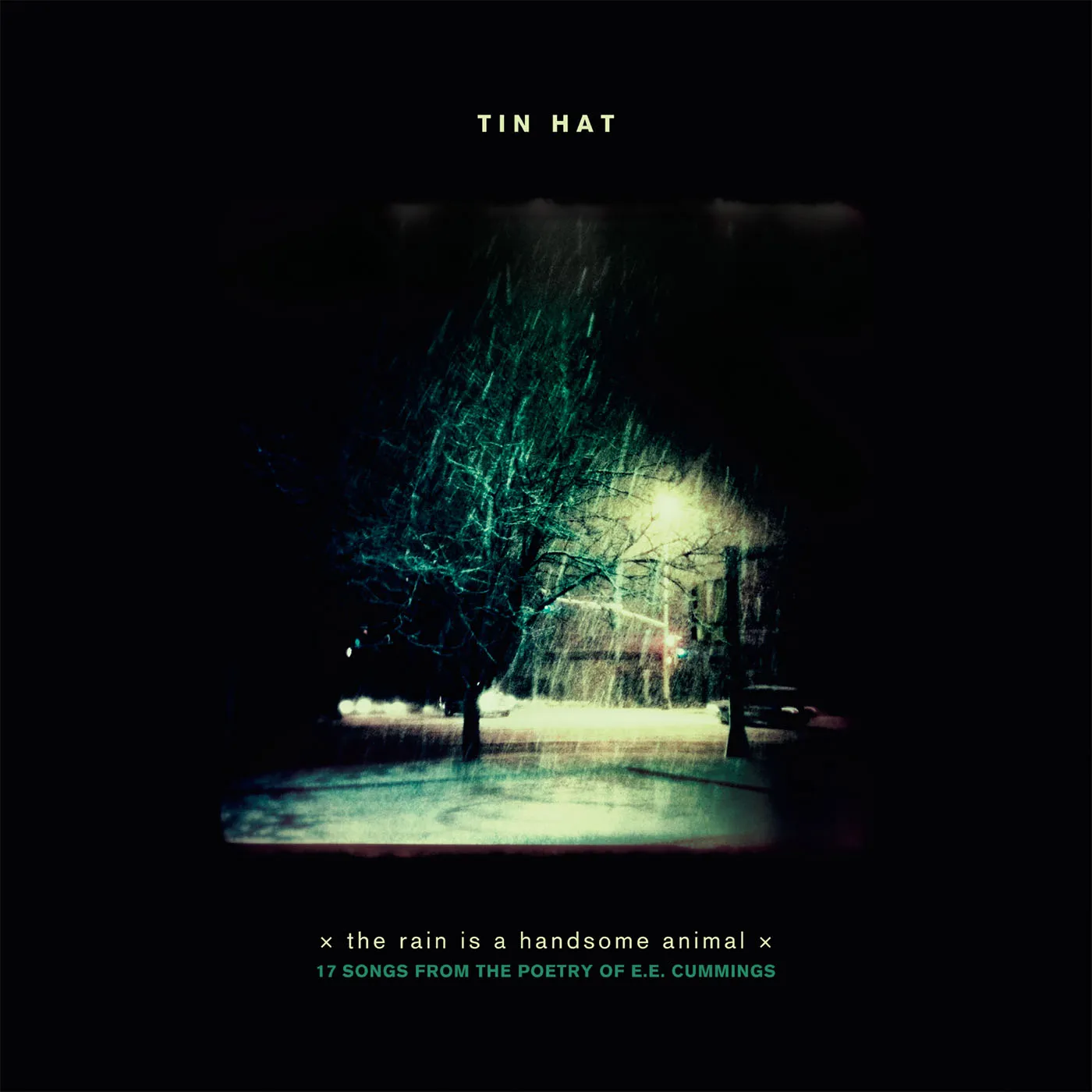 Tin Hat RAIN IS A HANDSOME ANIMAL CD