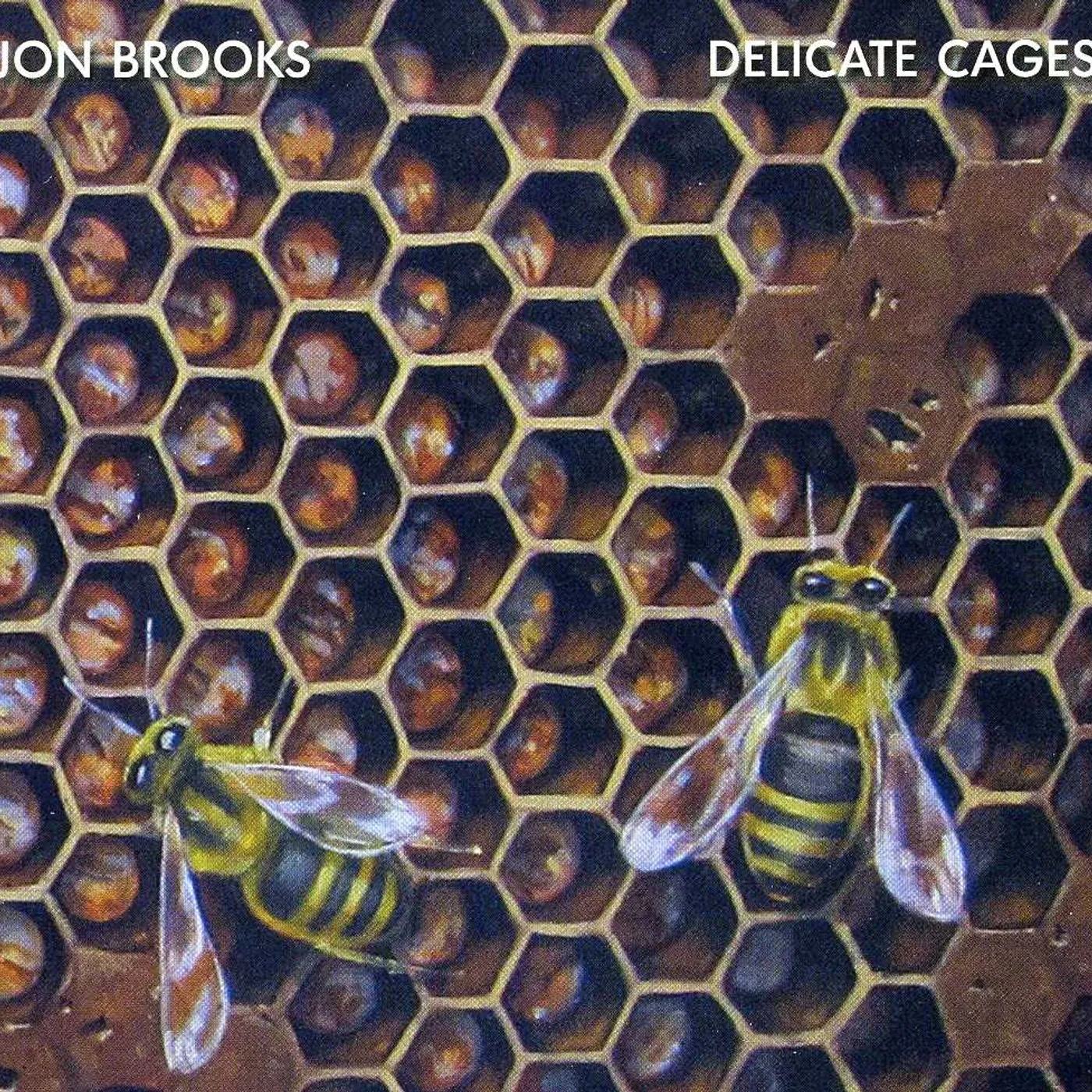 Jon Brooks DELICATE CAGES CD