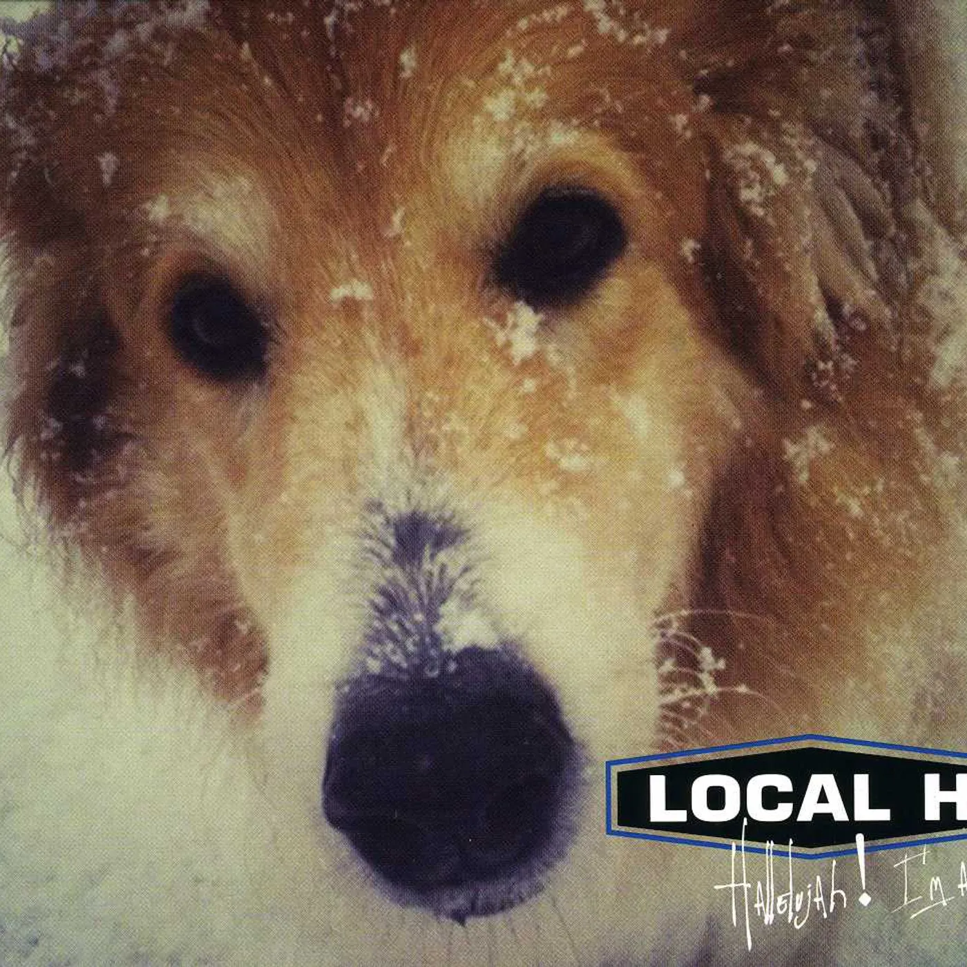 Local H HALLELUJAH I'M A BUM CD