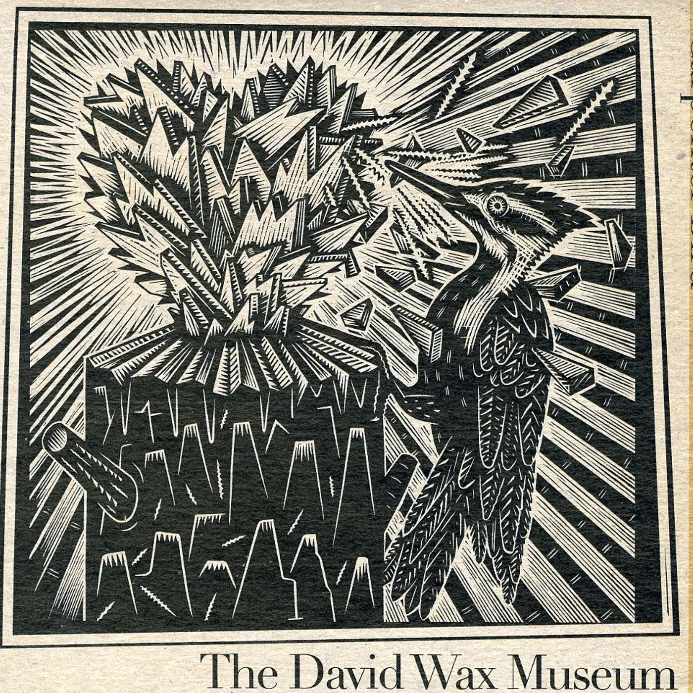 David Wax Museum CARPENTER BIRD CD
