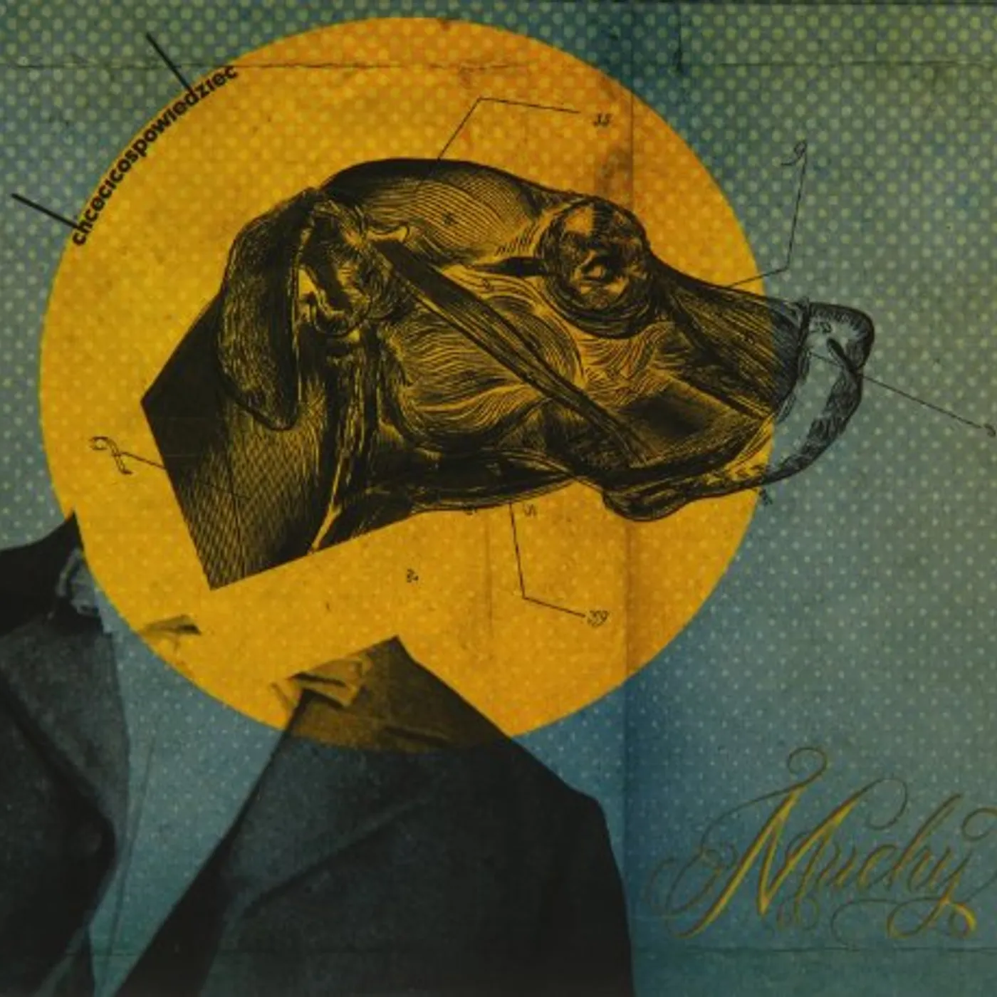 Muchy CHCECICOSPOWIEDZIEC CD