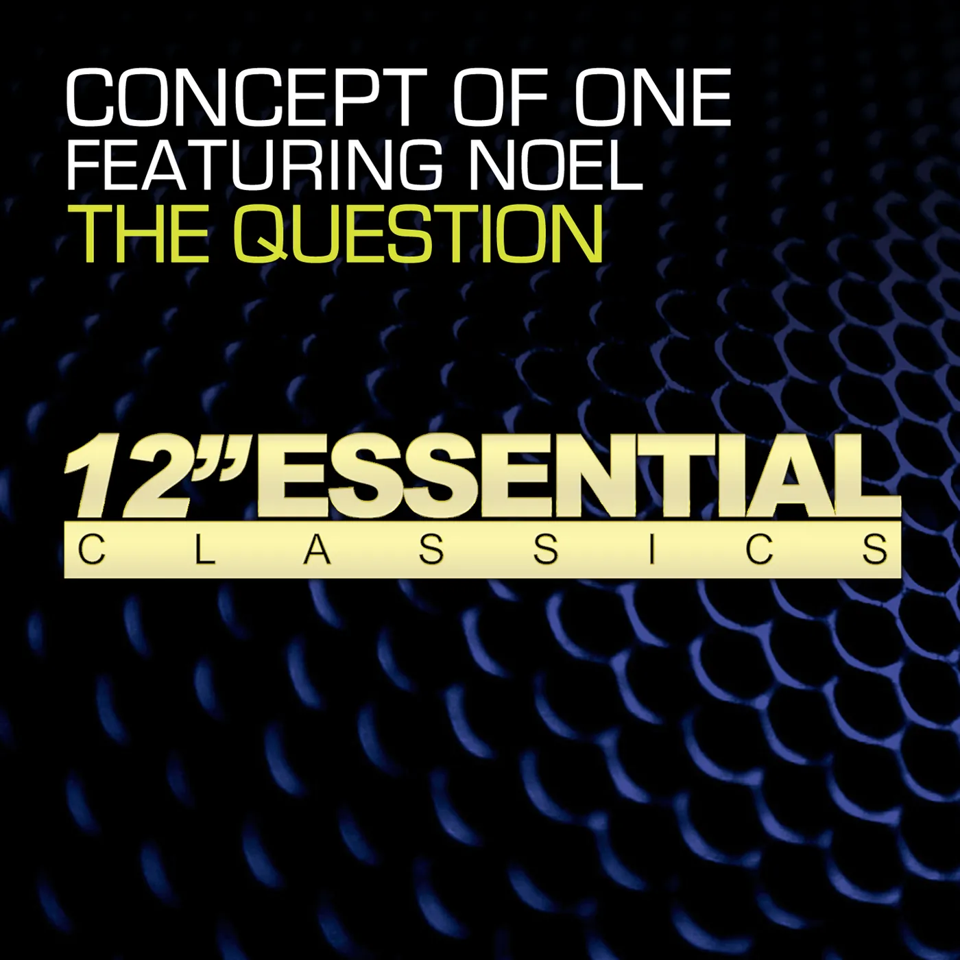 Concept Of One THE QUESTION CD