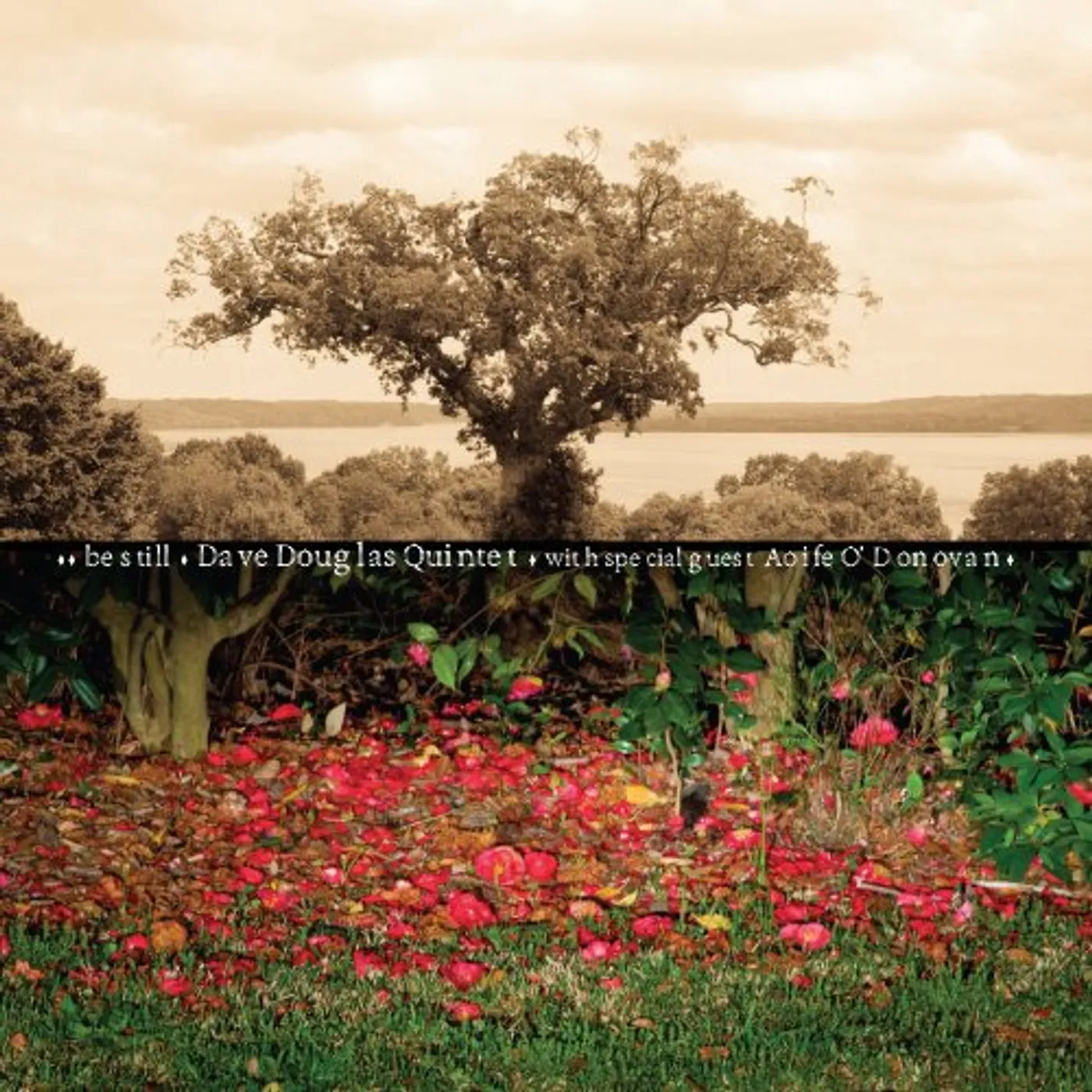 Dave Douglas BE STILL Vinyl Record - 180 Gram Pressing, MP3 Download Included