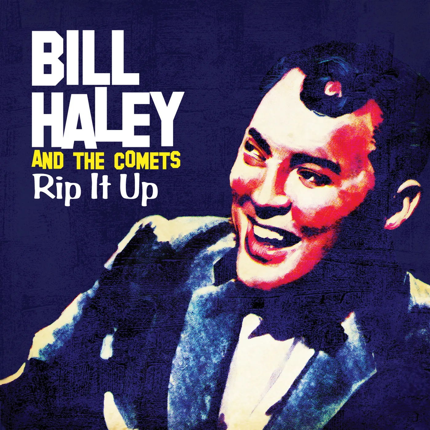 Bill Haley & His Comets RIP IT UP CD