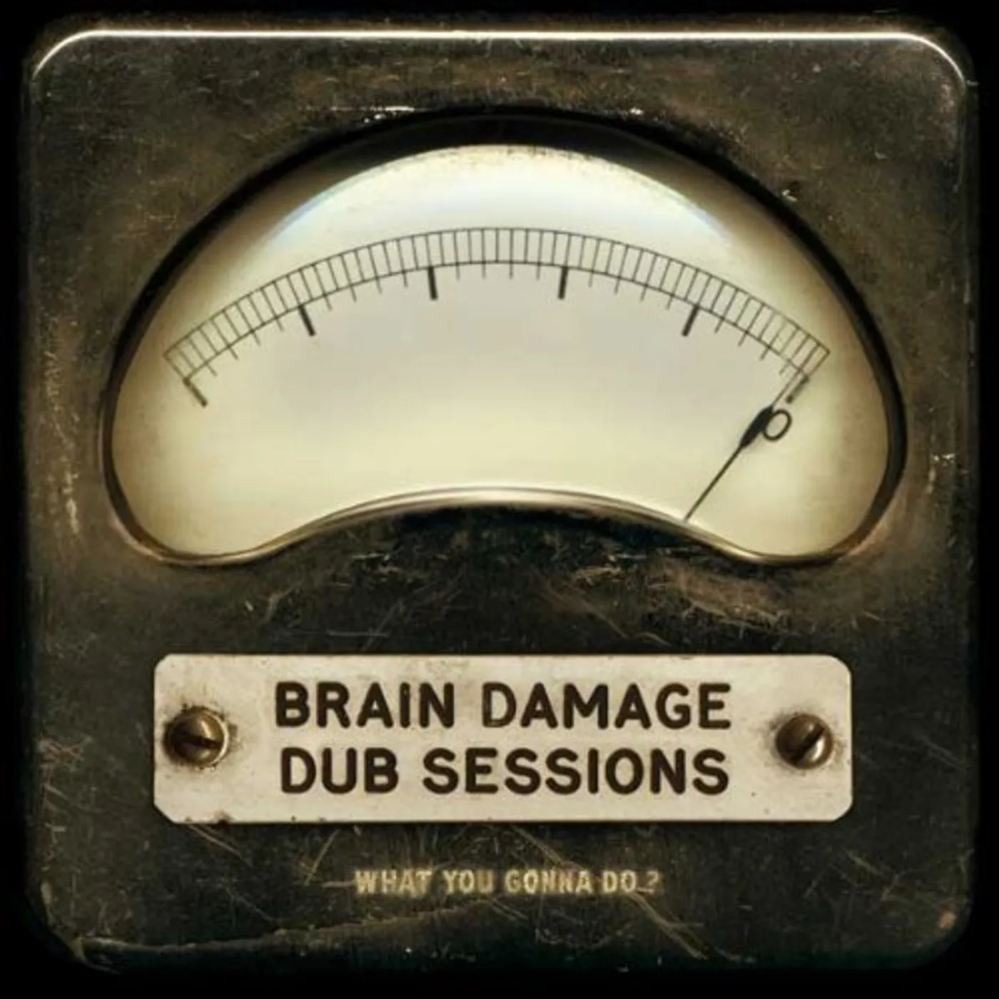 Brain Damage WHAT YOU GONNA DO Vinyl Record