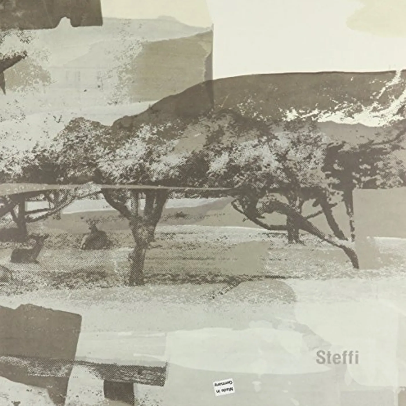 Steffi Schraper Vinyl Record