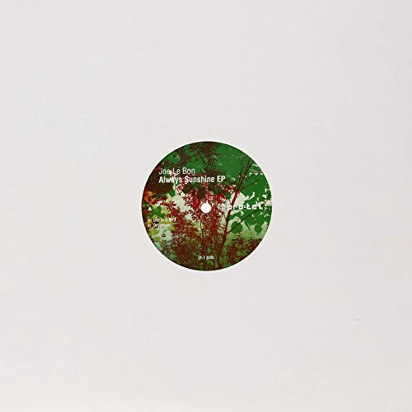 Joe Le Bon ALWAYS SUNSHINE Vinyl Record