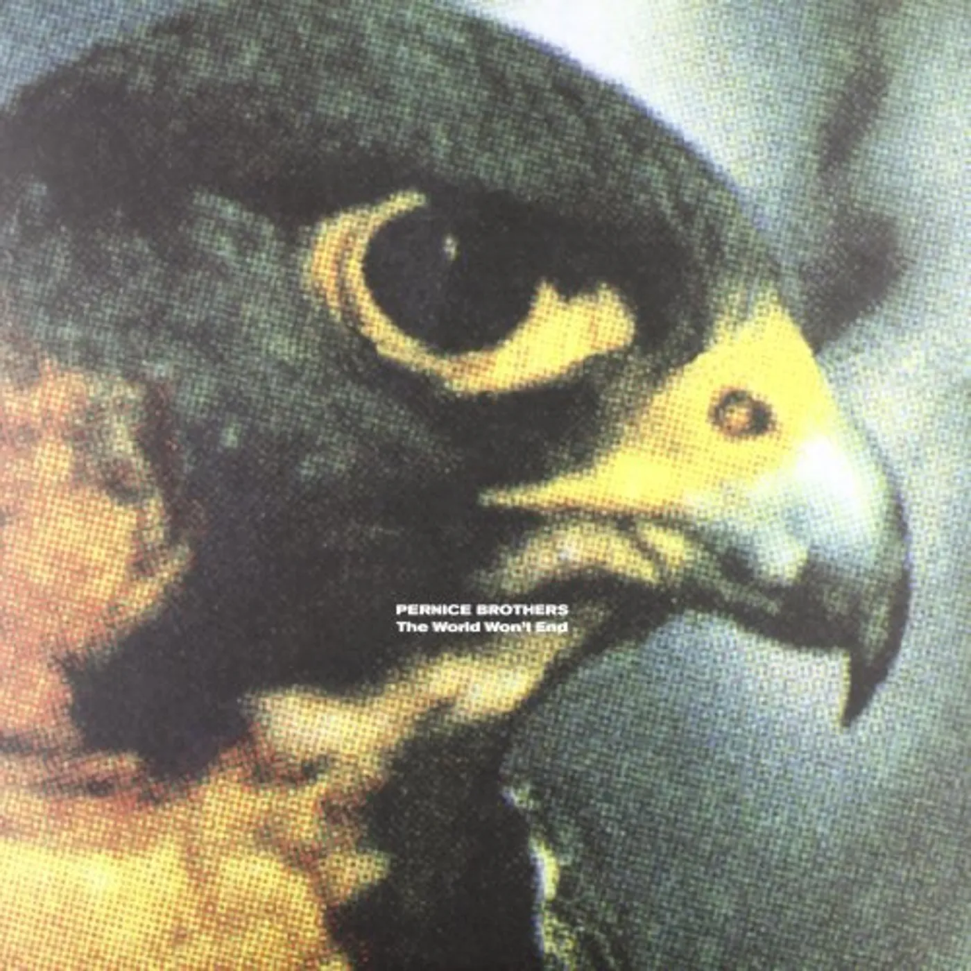 Pernice Brothers WORLD WON'T END Vinyl Record