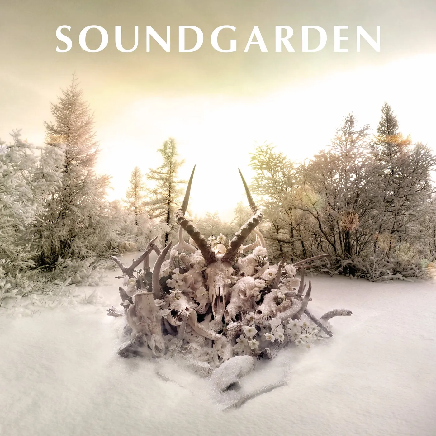 Soundgarden KING ANIMAL CD
