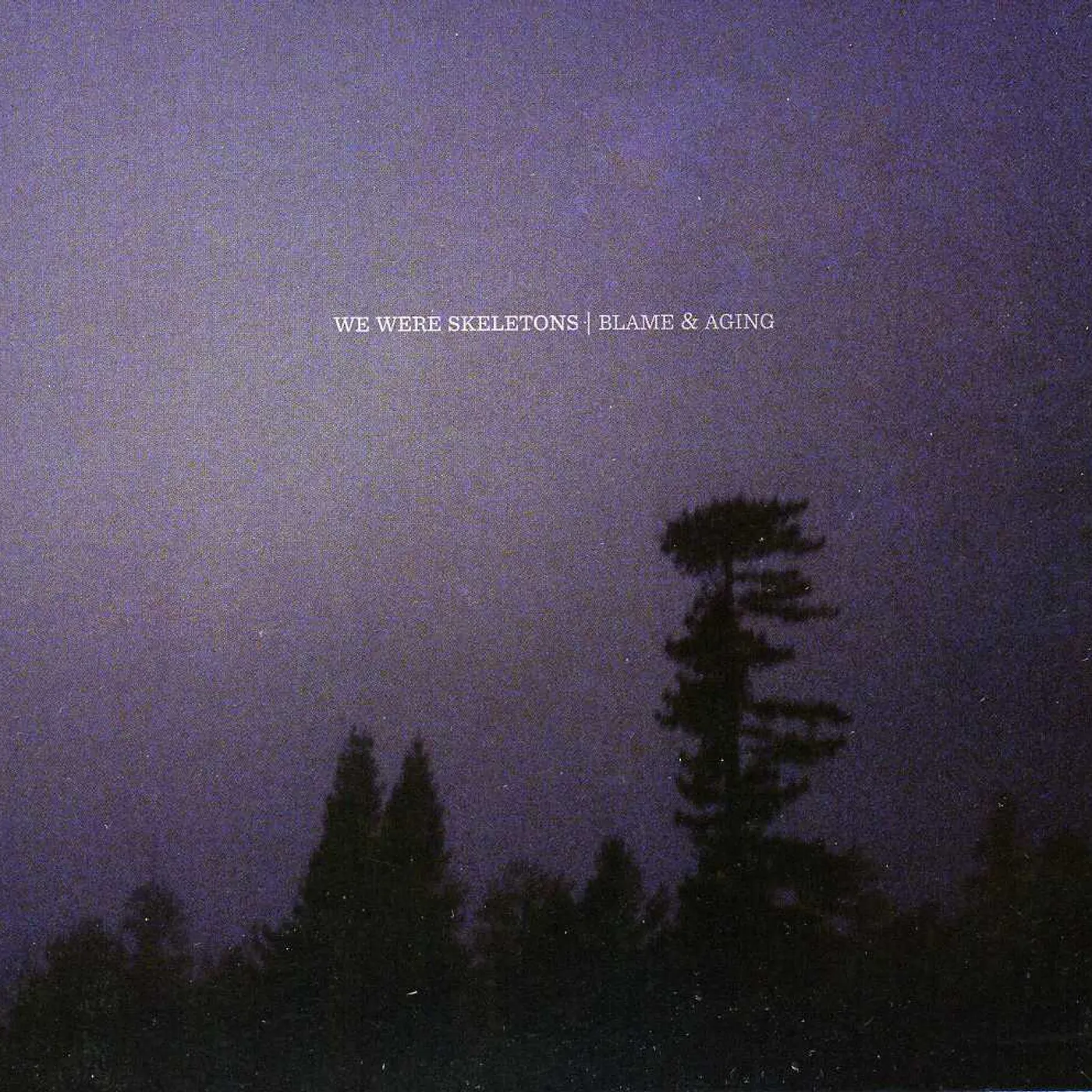 We Were Skeletons BLAME & AGING CD