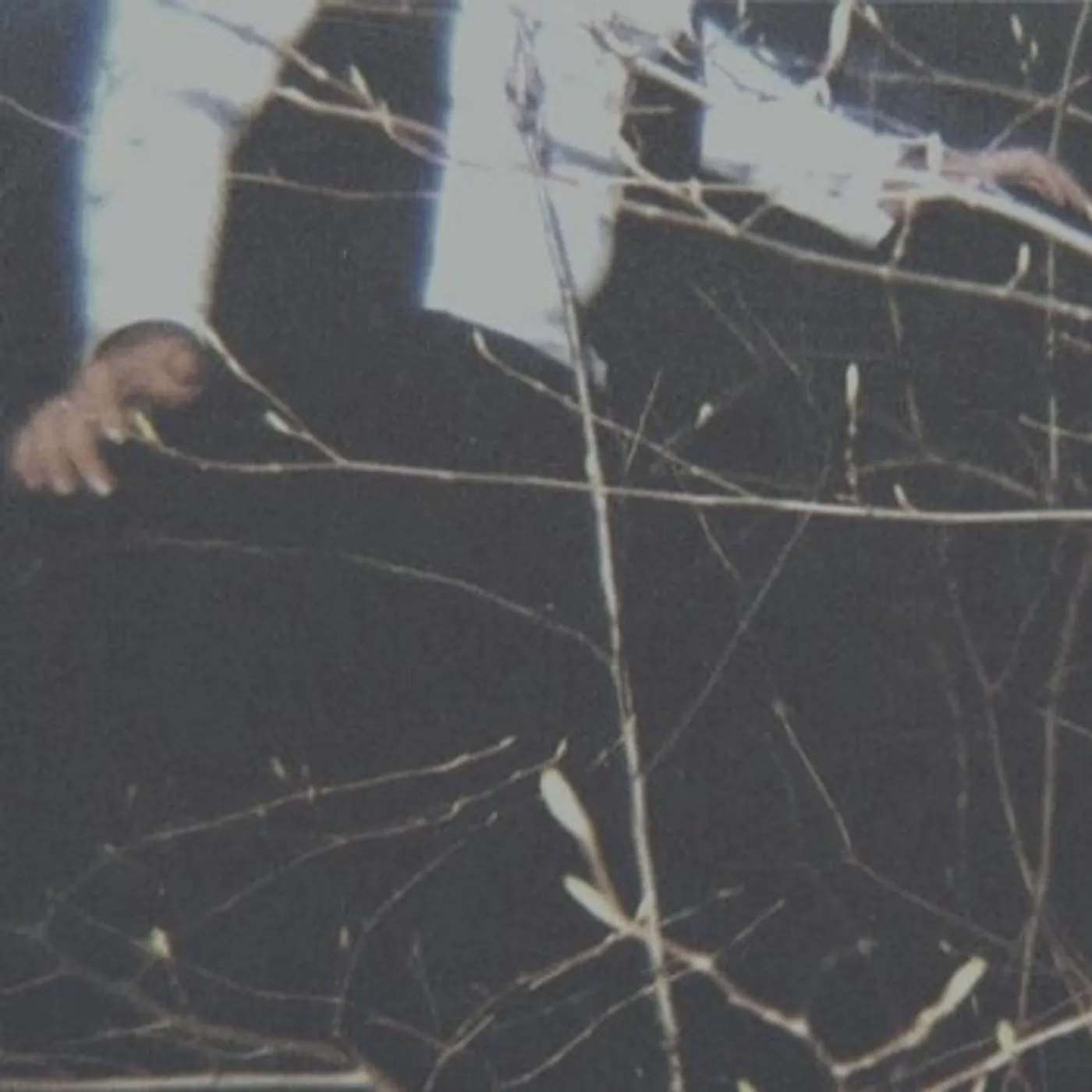 Cemeteries WILDERNESS Vinyl Record