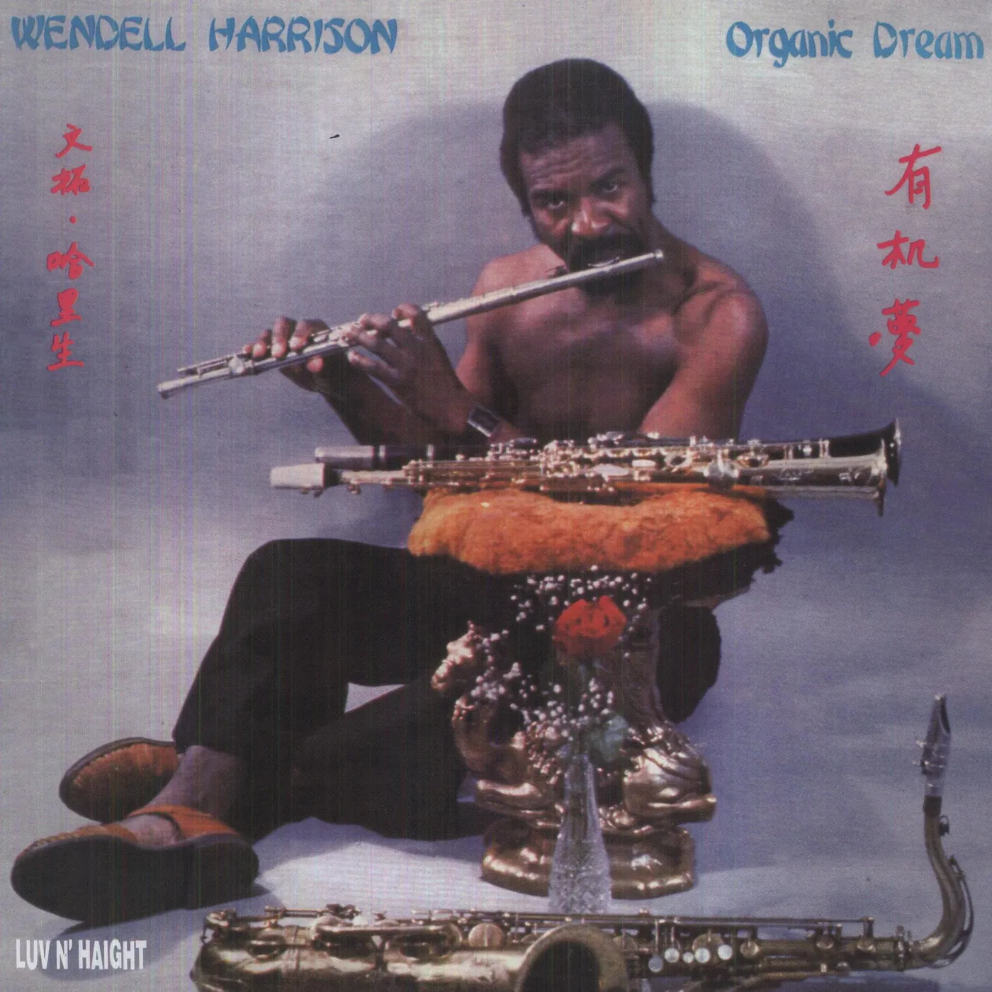 Wendell Harrison Organic Dream Vinyl Record