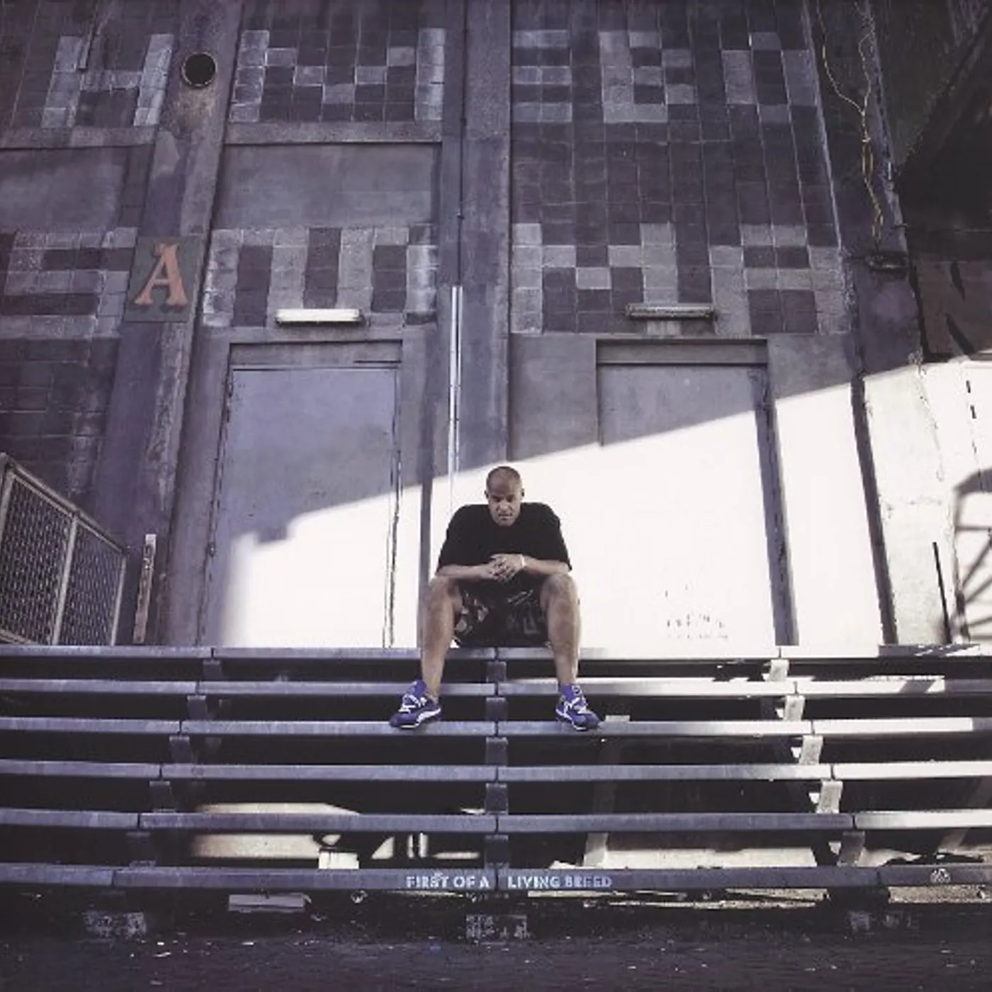 Homeboy Sandman First of a Living Breed Vinyl Record