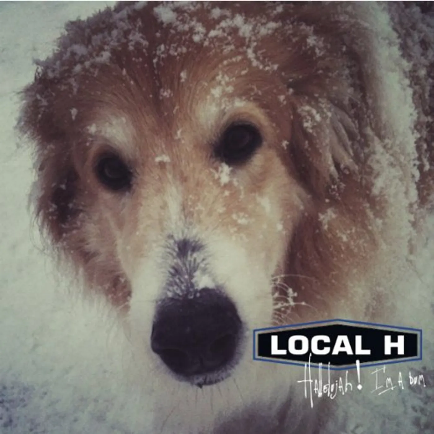Local H HALLELUJAH I'M A BUM Vinyl Record