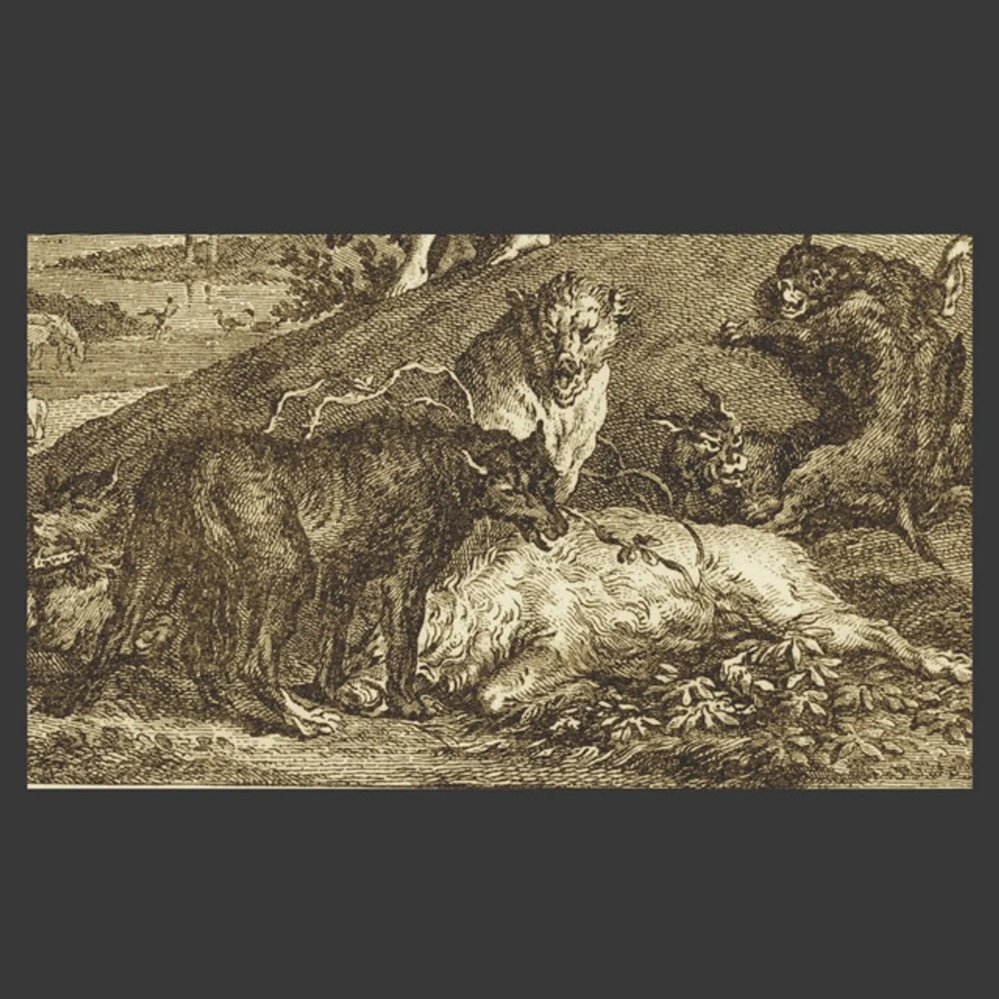 Kevin Drumm Relief Vinyl Record