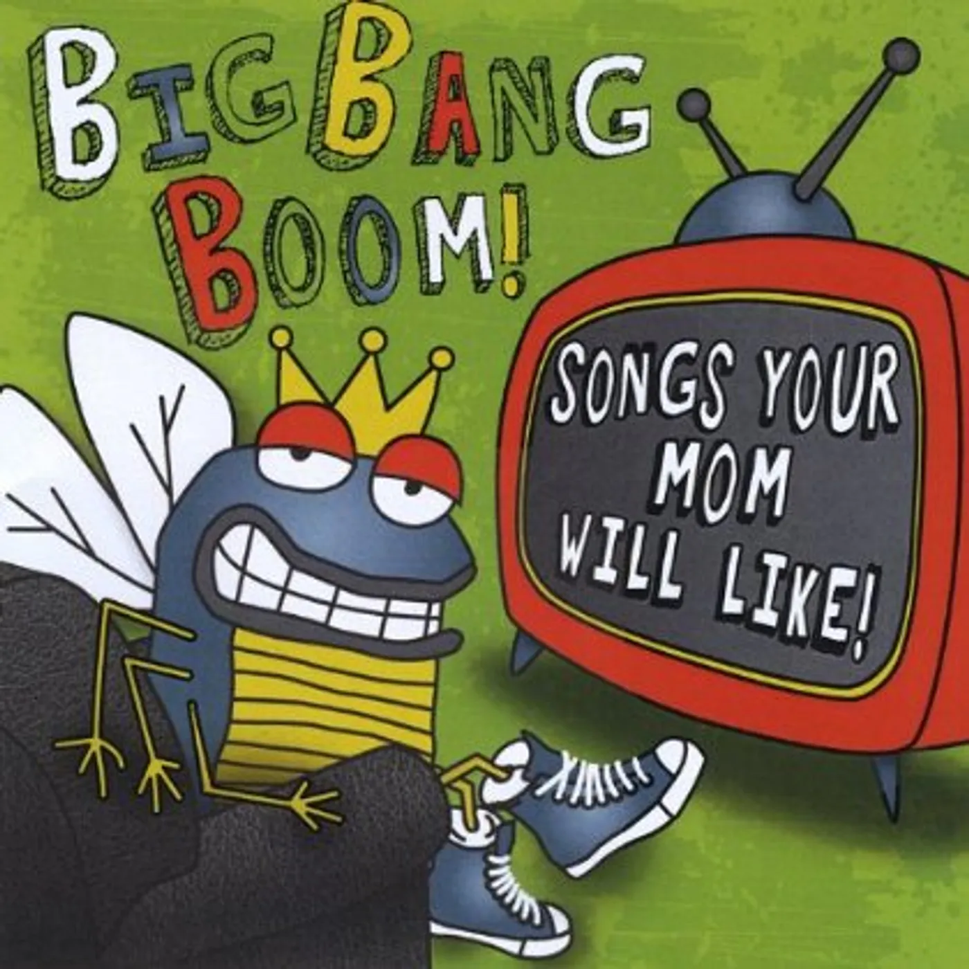 Big Bang Boom SONGS YOUR MOM WILL LIKE CD