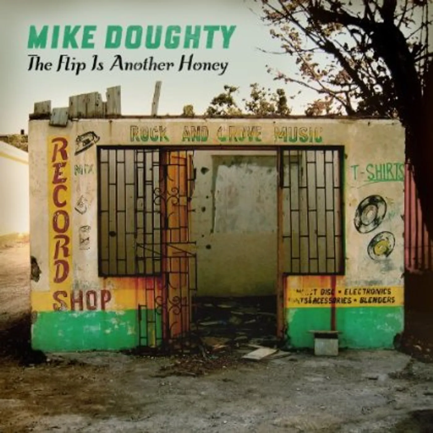 Mike Doughty FLIP IS ANOTHER HONEY CD