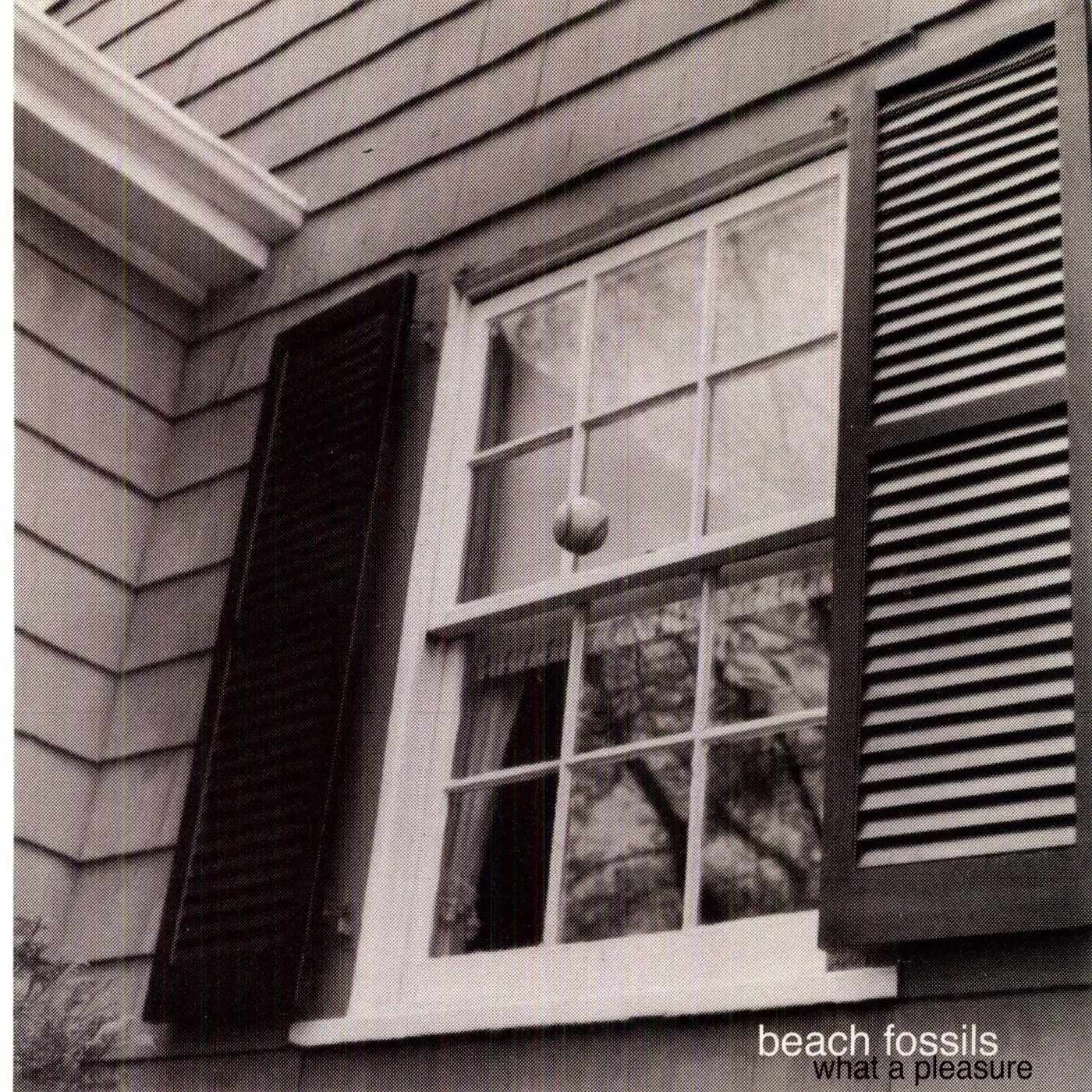 Beach Fossils What a Pleasure Vinyl Record