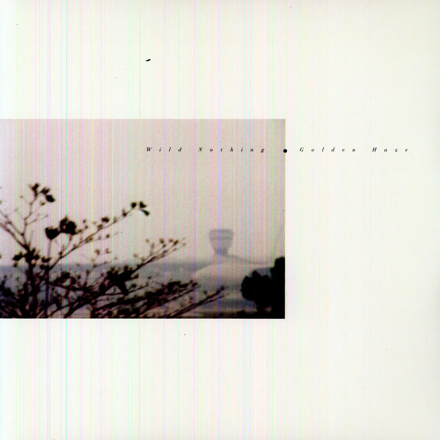 Wild Nothing Golden Haze Vinyl Record