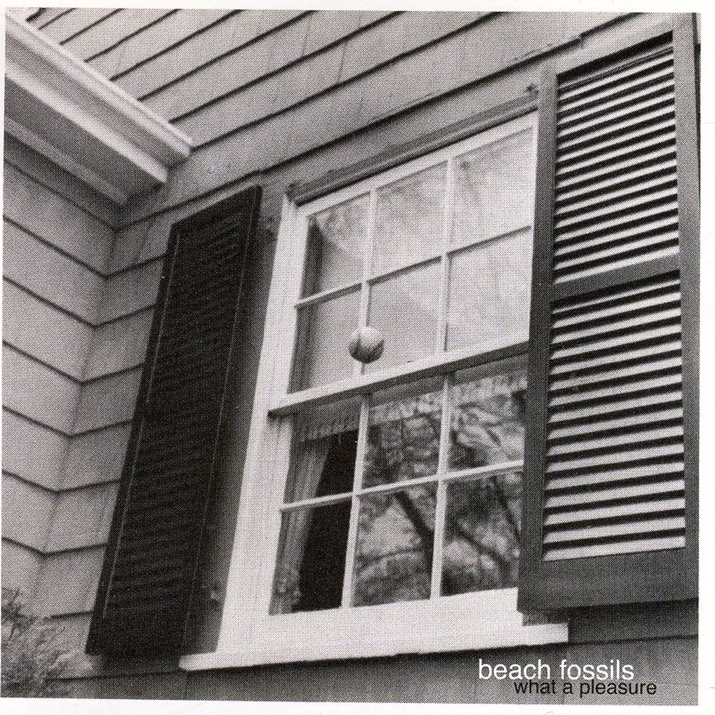 Beach Fossils WHAT A PLEASURE CD